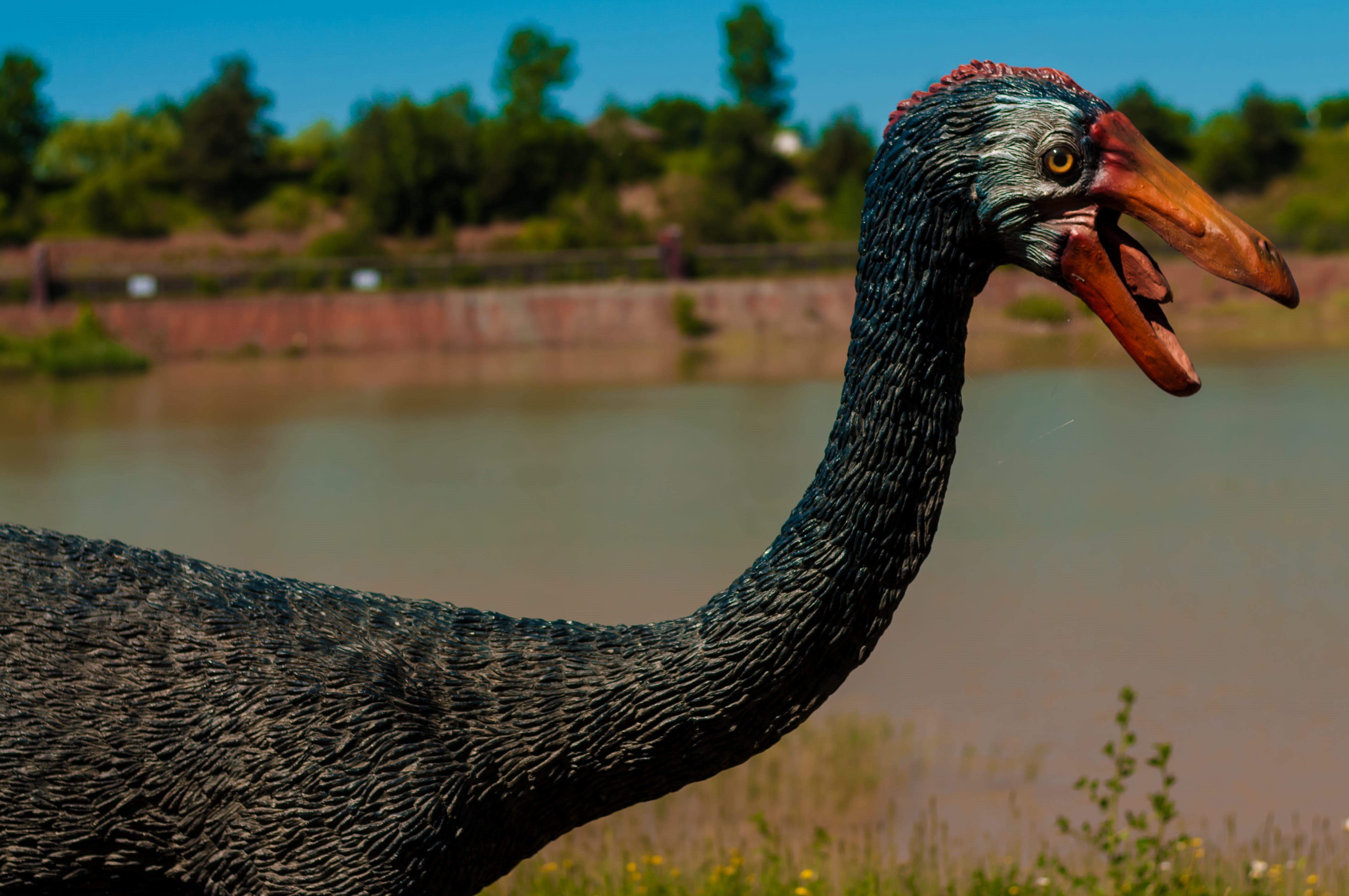 animal themes, wildlife, theropods, black, terrible, photography, vertebrate, kentrosaurus, edmontosaurus, day, giant, jaws, predator, dead, krasiejów, HD Wallpaper