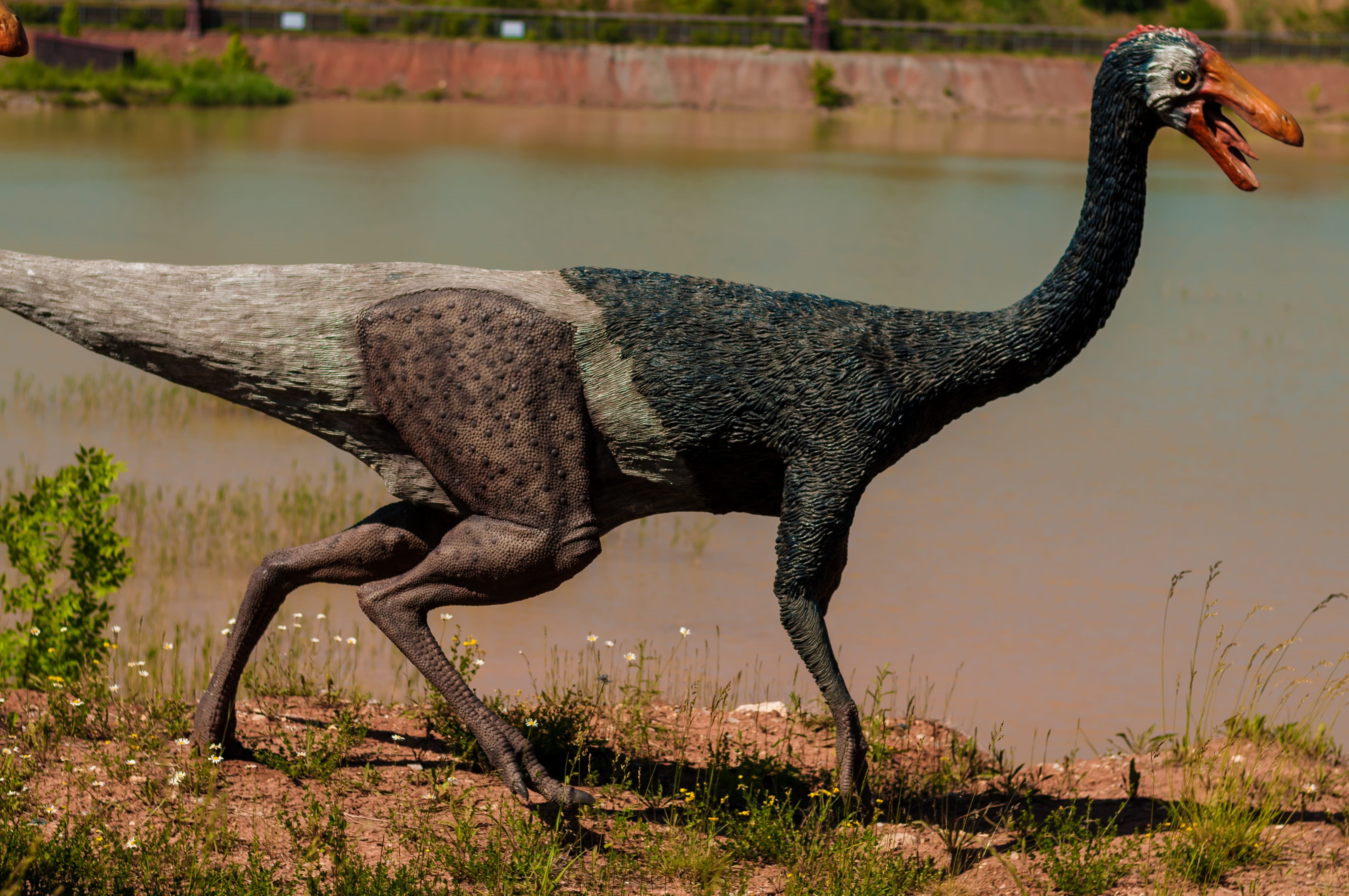 yi, afrovenator, forest, jaws, Extinct, insects, day, prehistoric, legs, excursions, the figurine, old, triceratops, evil, brachiosaurus, side view, ancient, HD Wallpaper