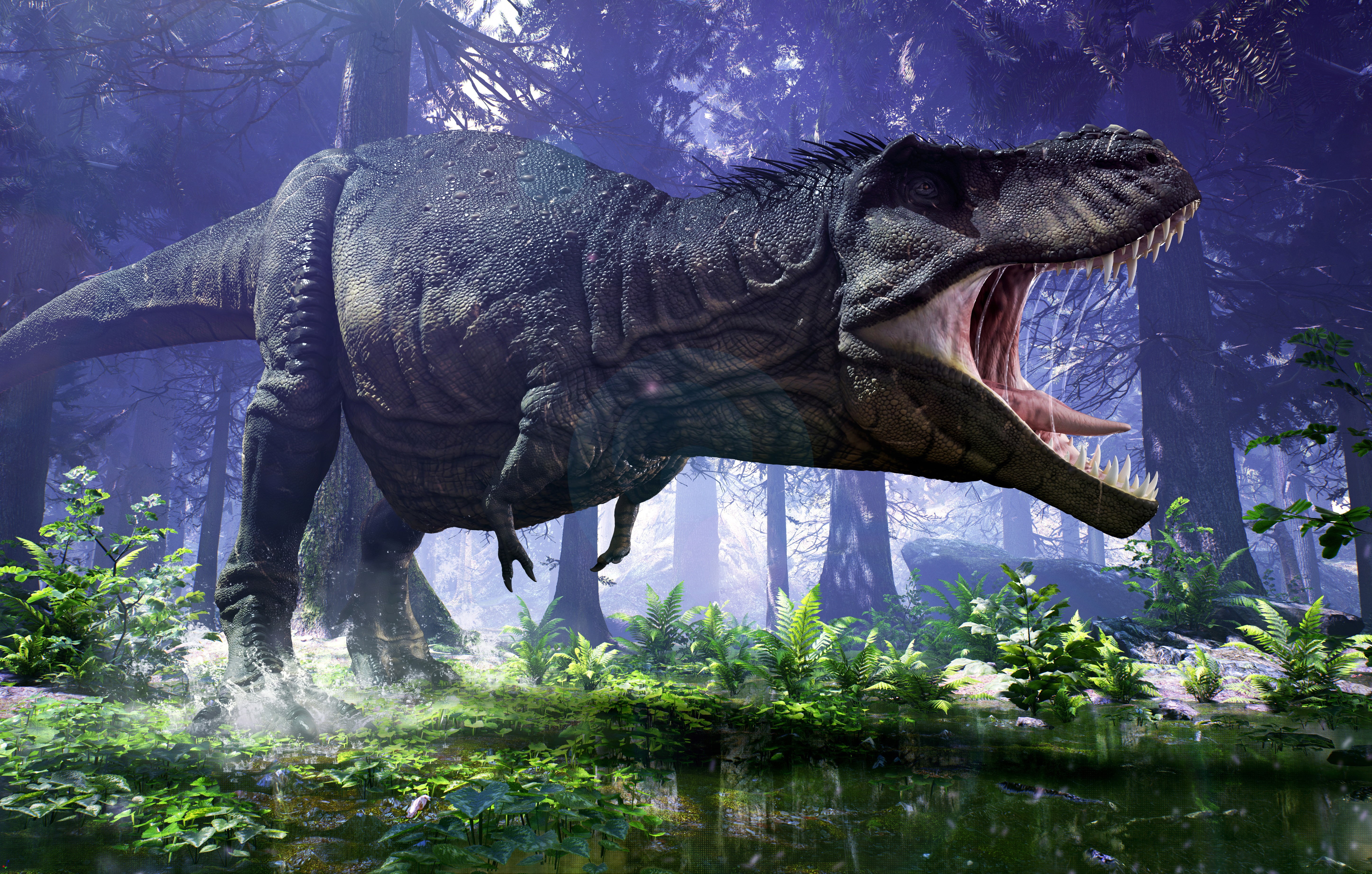 5K, HD, 5K, Tyrannosaurus, T-Rex, HD Wallpaper