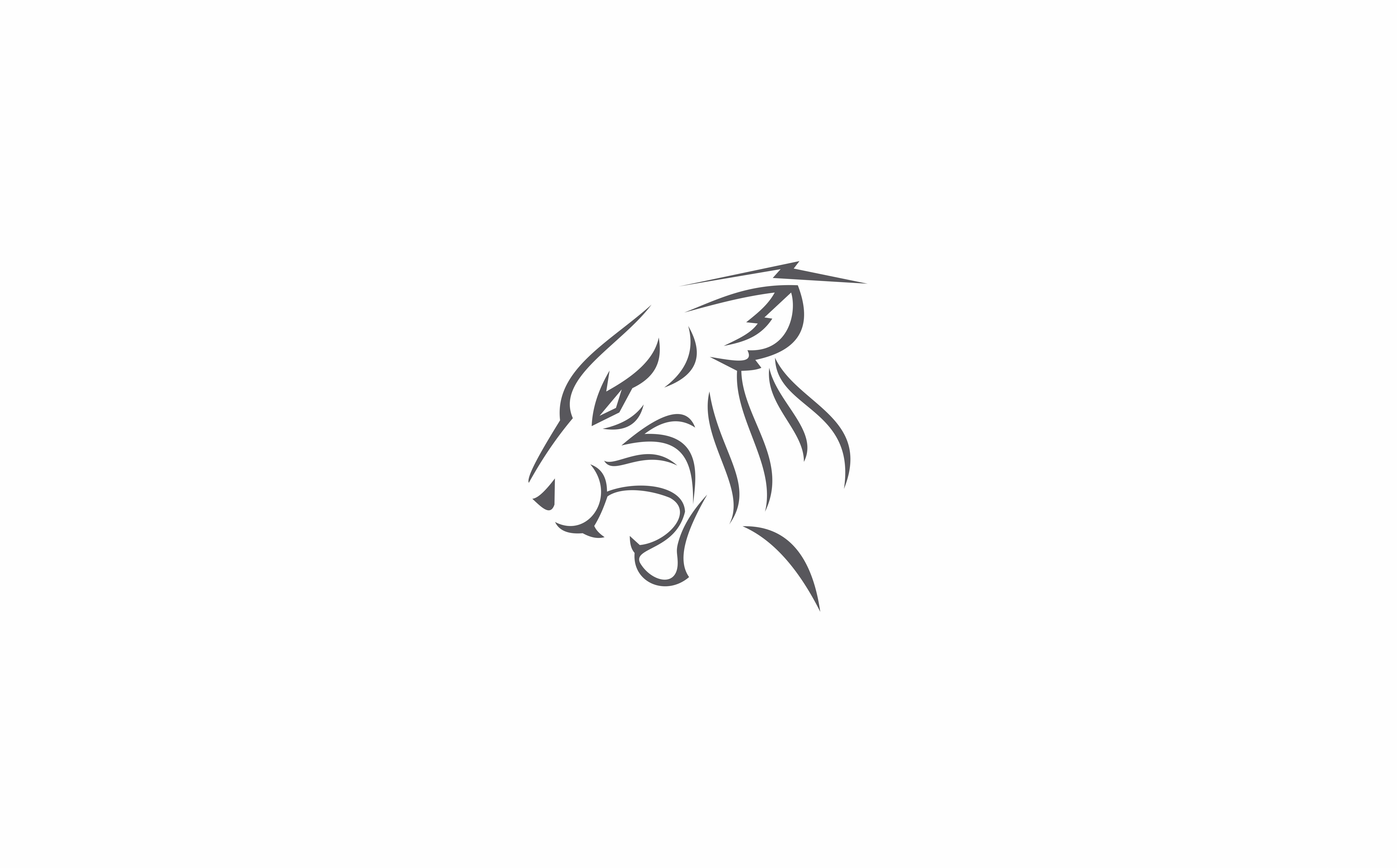 feline, fantasy, illustration, Aero, Design, White, graphic design, drawing - activity, no people, doodle, representation, cut out, Vector Art, copy space, HD Wallpaper