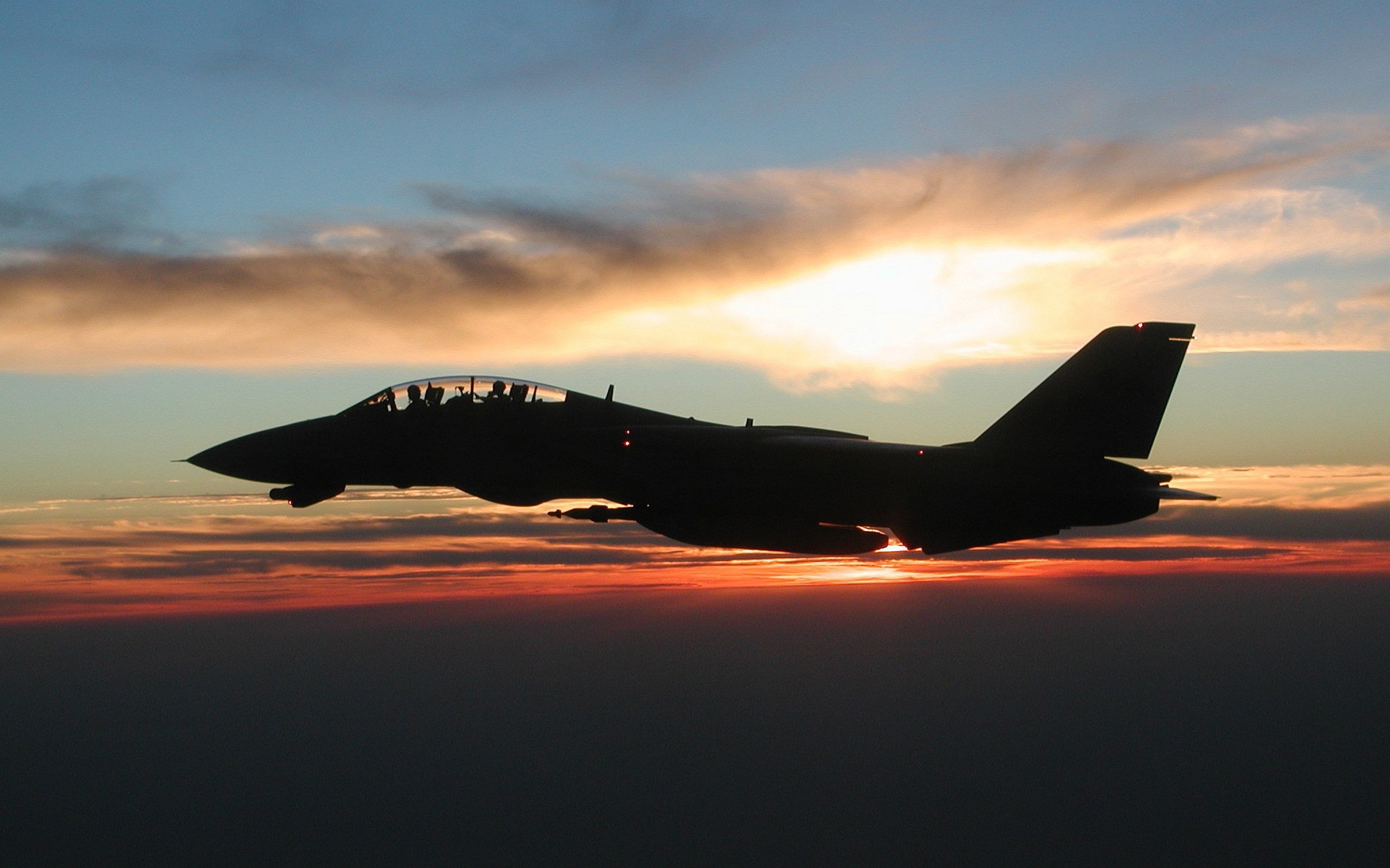 air vehicle, military, nature, silhouette, air force, airplane, fighter plane, on the move, mid-air, single object, plane, grumman f 14 tomcat, no people, HD Wallpaper