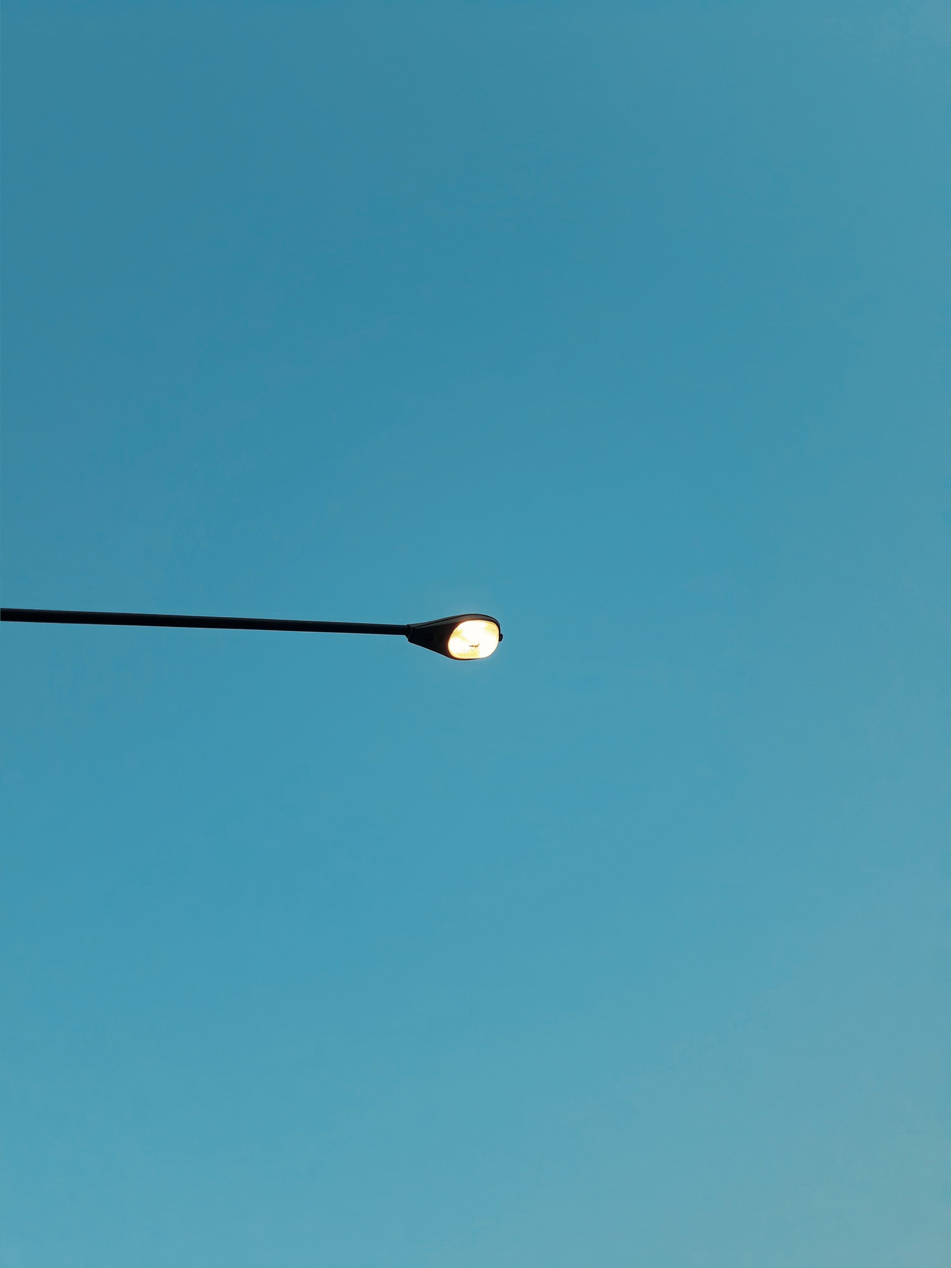 #blue #navyblue, bulb, colored background, bird, street light, copy space, azure sky, thammasat university, illuminated, turquoise, power supply, thailand, Phone HD Wallpaper