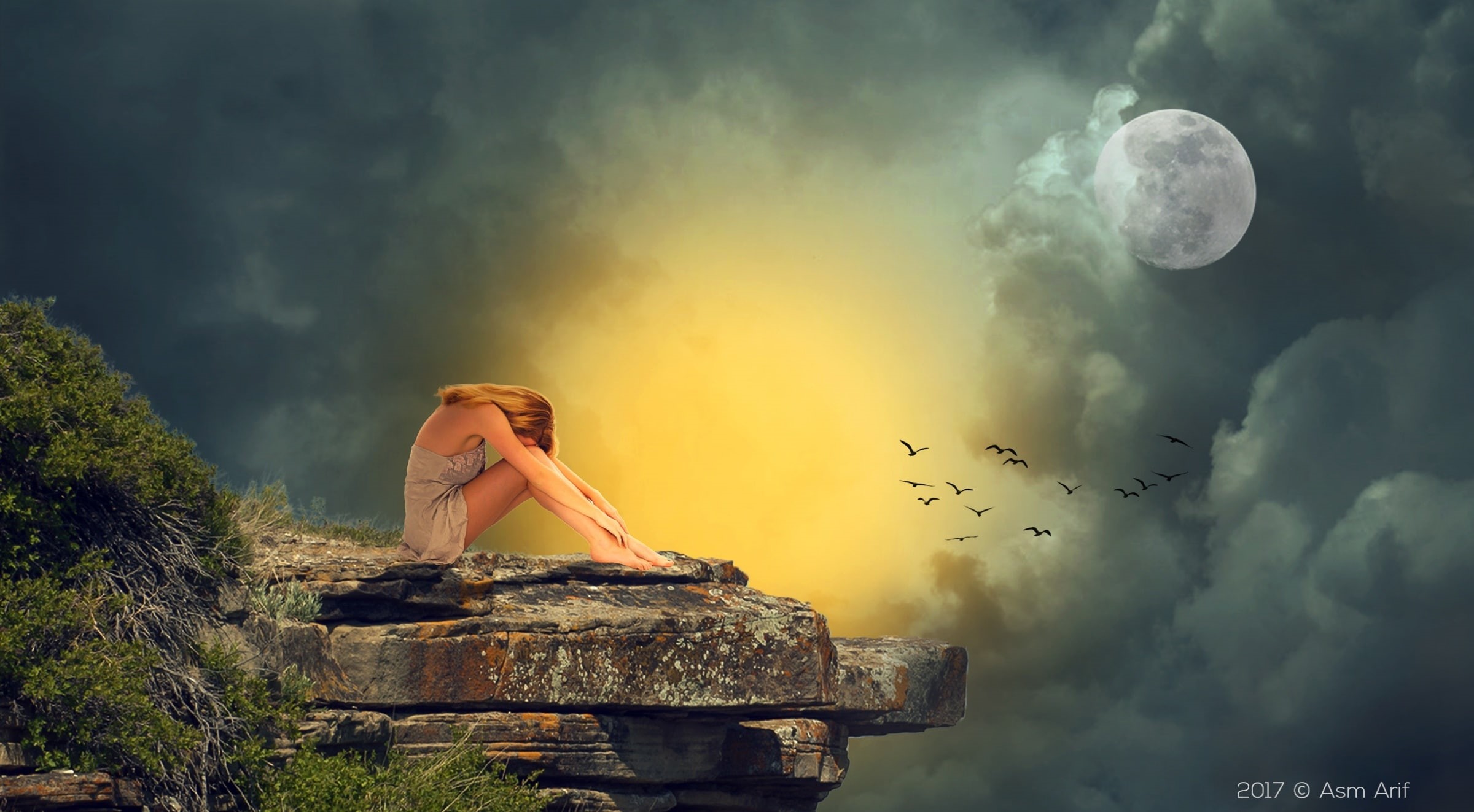 Moon, sitting, fullmoon, women, group of animals, casual clothing, animal wildlife, Birds, vertebrate, flying, Clouds, animals in the wild, nature, 1080P, HD Wallpaper