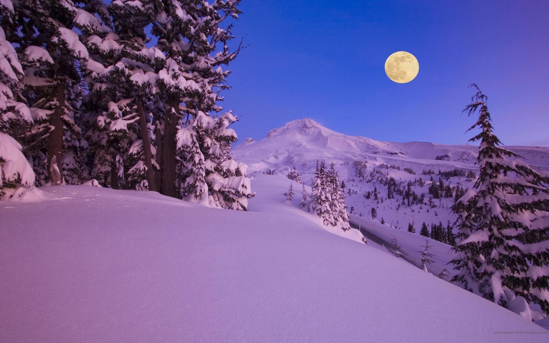 snow, pink, moon, mountain, 1080P, fullmoon, full, covered, 3d and abstract, HD Wallpaper
