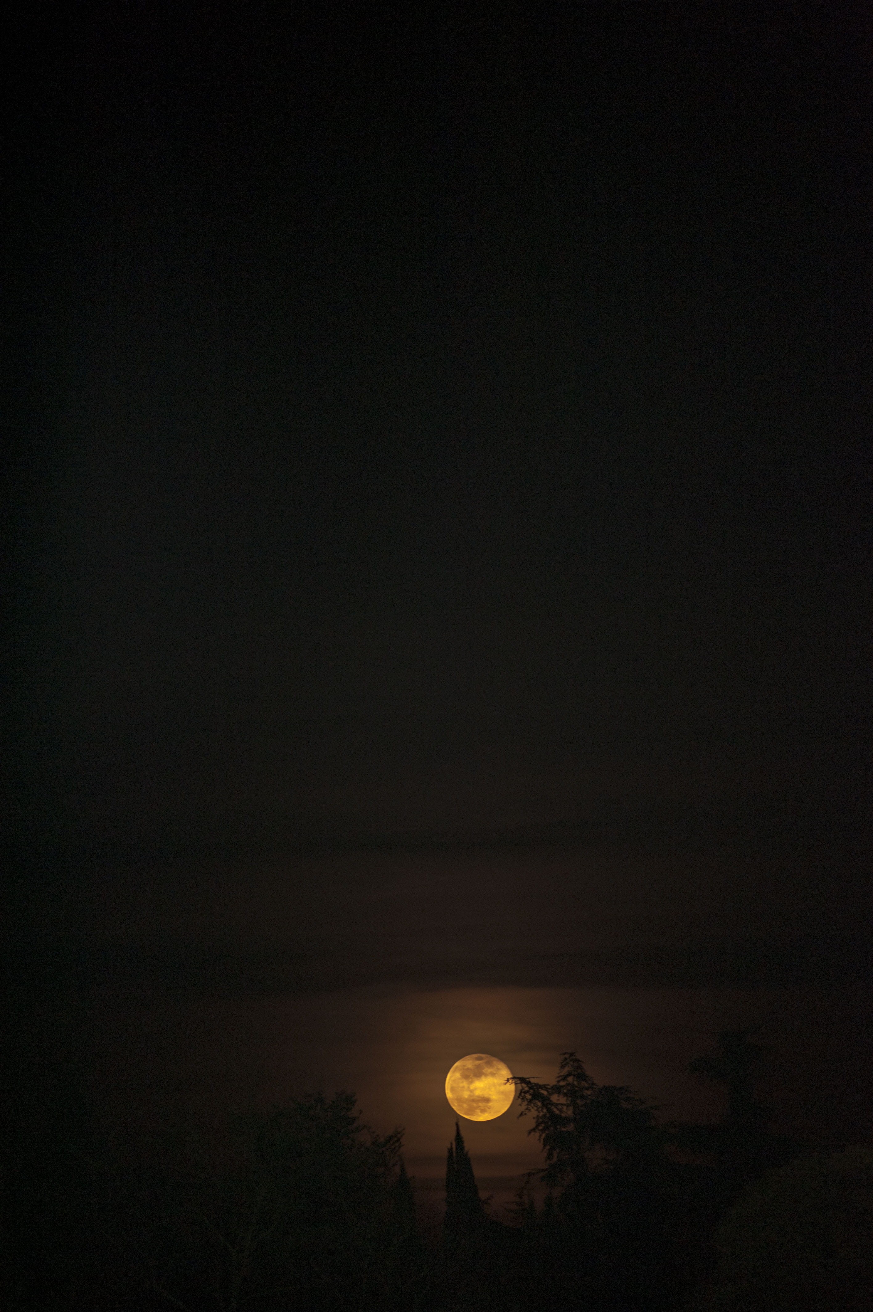 scenics - nature, eclipse, planetary moon, astronomy, dark, nature, full moon, lunar eclipse, 4K, illuminated, space, copy space, shoreline, coast, #fullmoon #moonlight, Phone HD Wallpaper