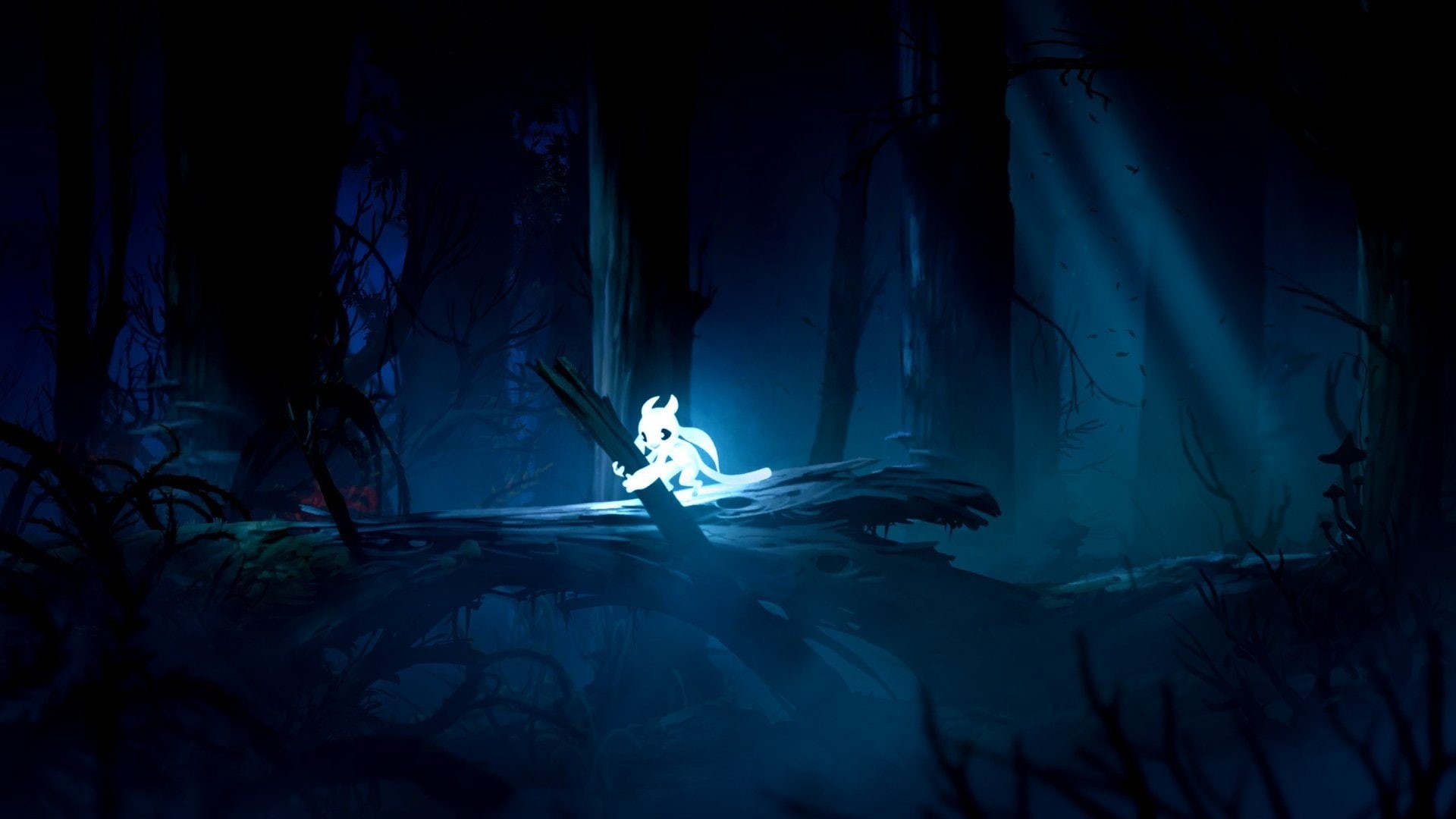 Ori and the Blind Forest, 1080P, Video Game, HD Wallpaper
