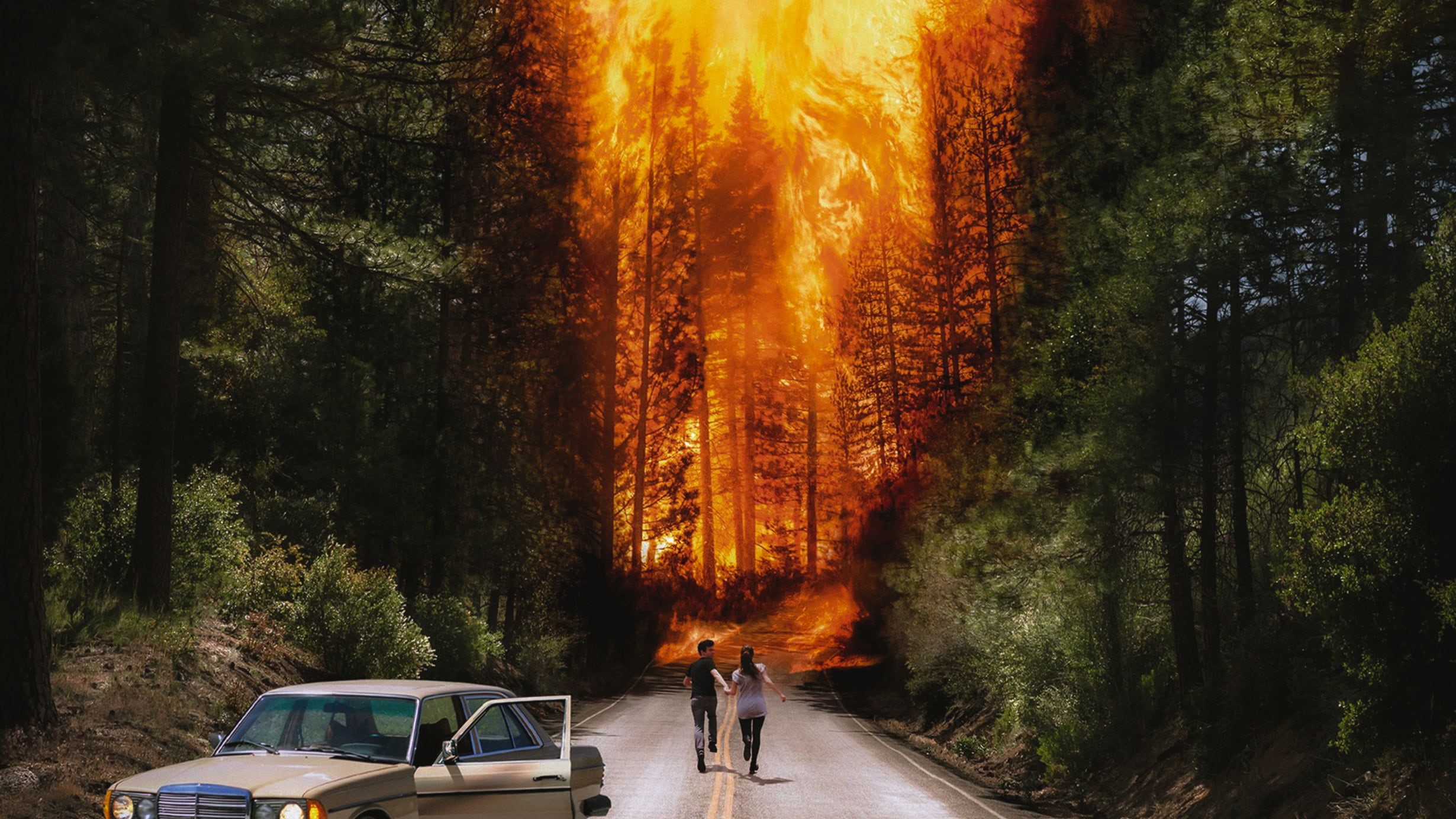 running, old car, Ladytron, pine trees, 1080P, couple, wildfire, HD Wallpaper