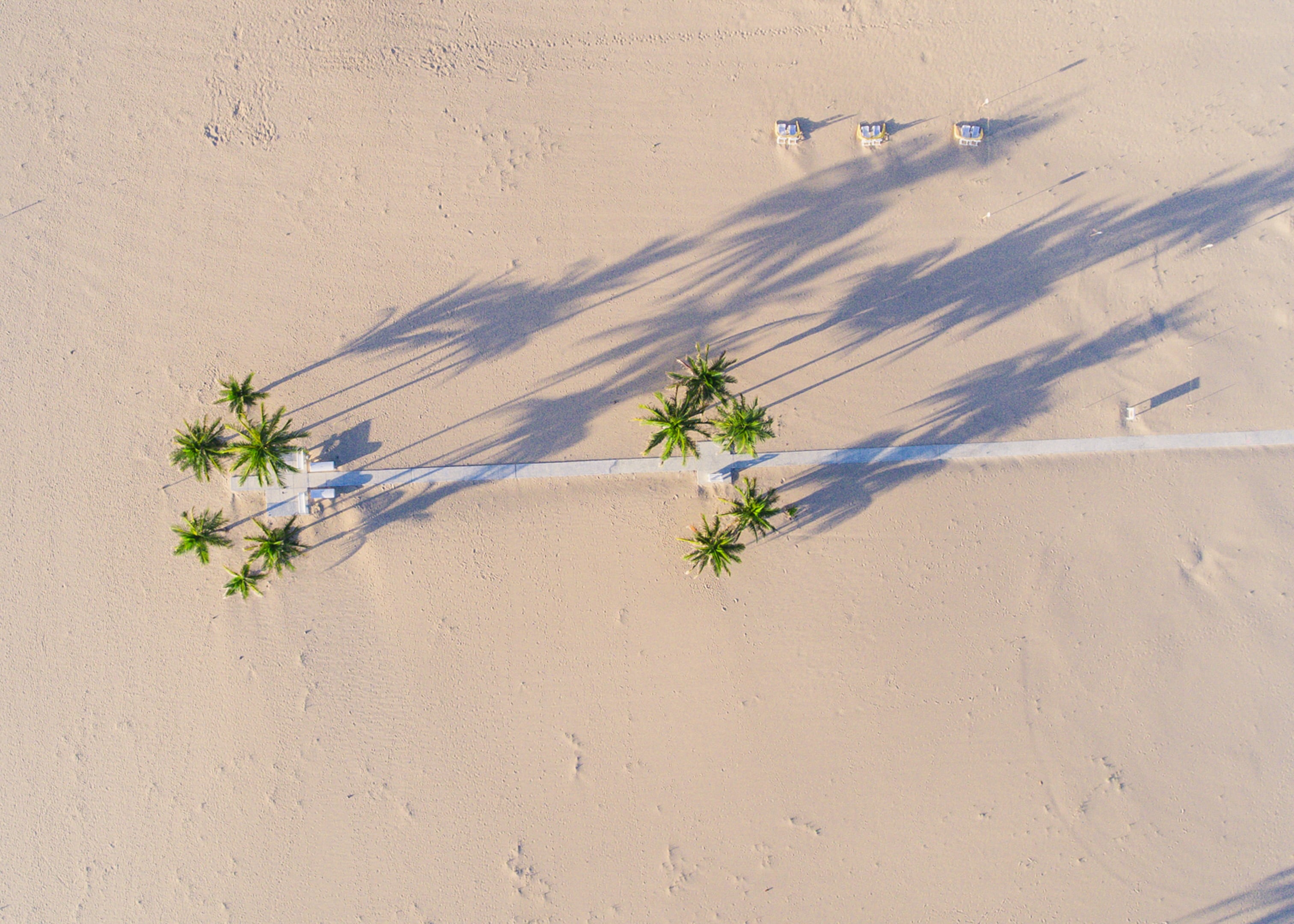 drone view, beauty in nature, photo, summer, dji, desert, trees, architecture, day, built structure, walkway, aerial, school, palm tree, beach, land, white, HD Wallpaper