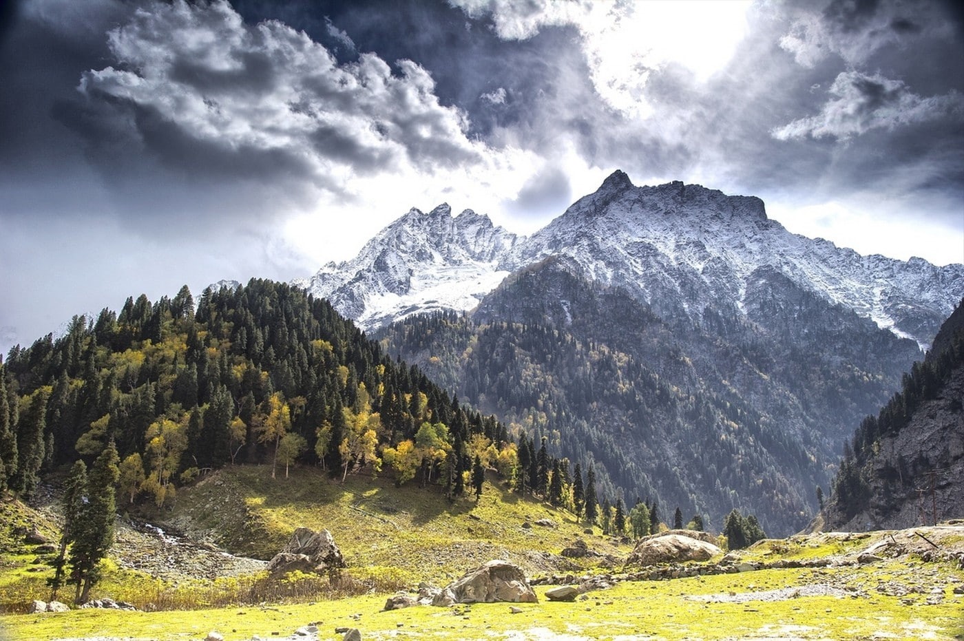 snowy peak, clouds, forest, mountains, nature, landscape, Kashmir, grass, 720P, fall, trees, HD Wallpaper
