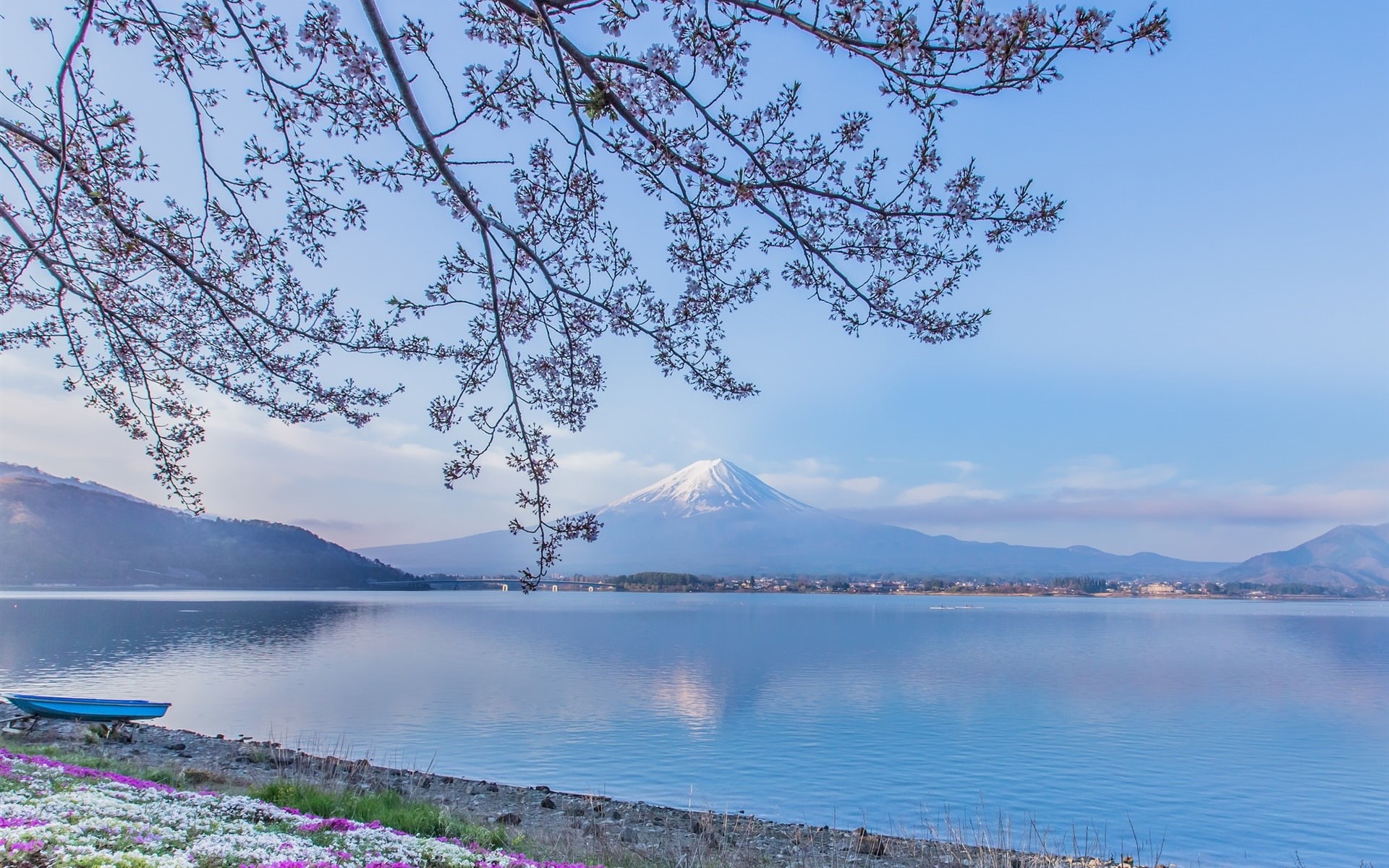 Lake, mount, Flowers, Kawaguchi, Fuji, Japan, Twigs, 1080P, HD Wallpaper