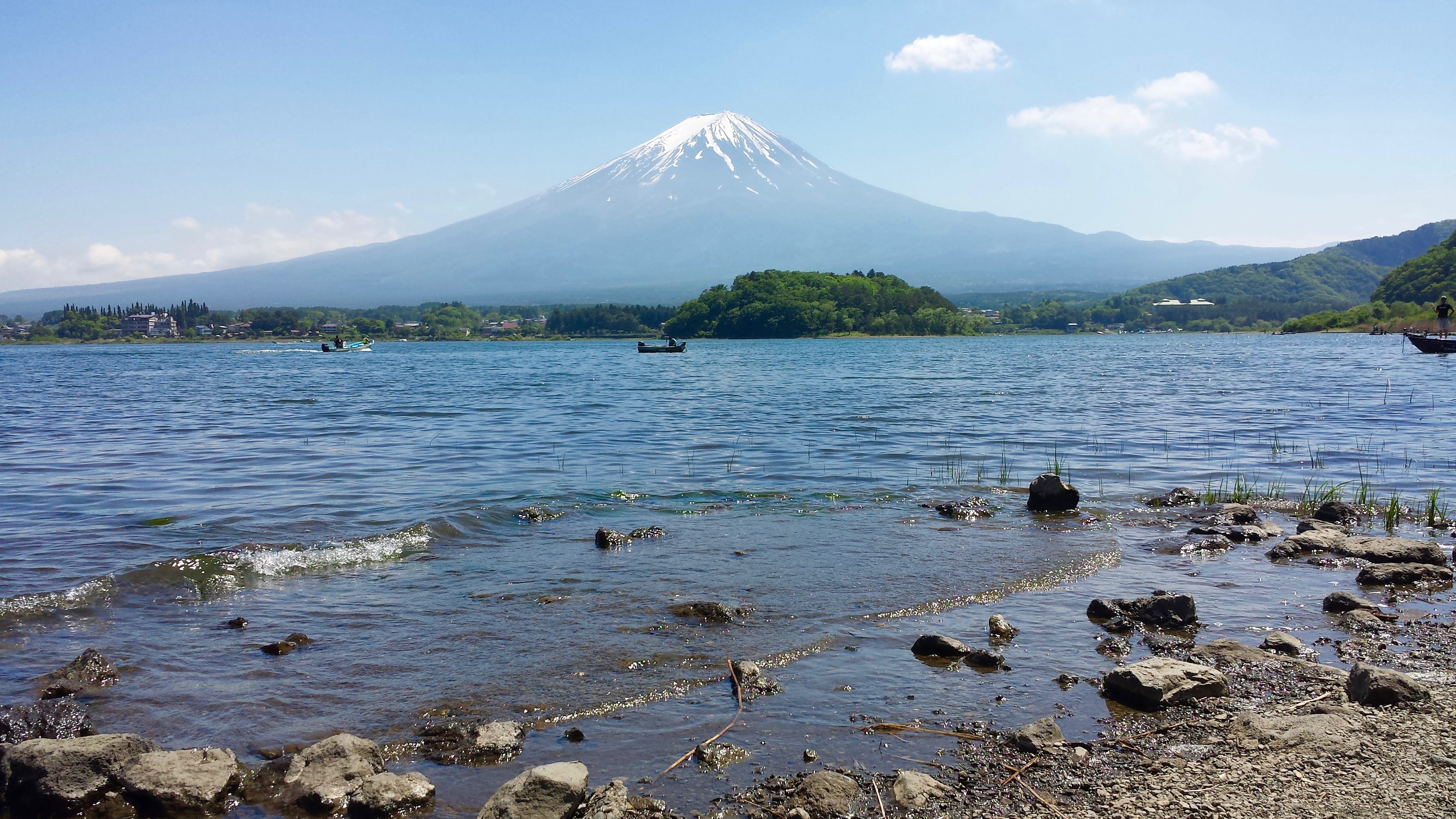 tranquility, cloud - sky, fujikawaguchiko, tranquil scene, nature, lake kawaguchi, idyllic, beauty in nature, japan, lake, sky, tree, 4K, animal wildlife, HD Wallpaper