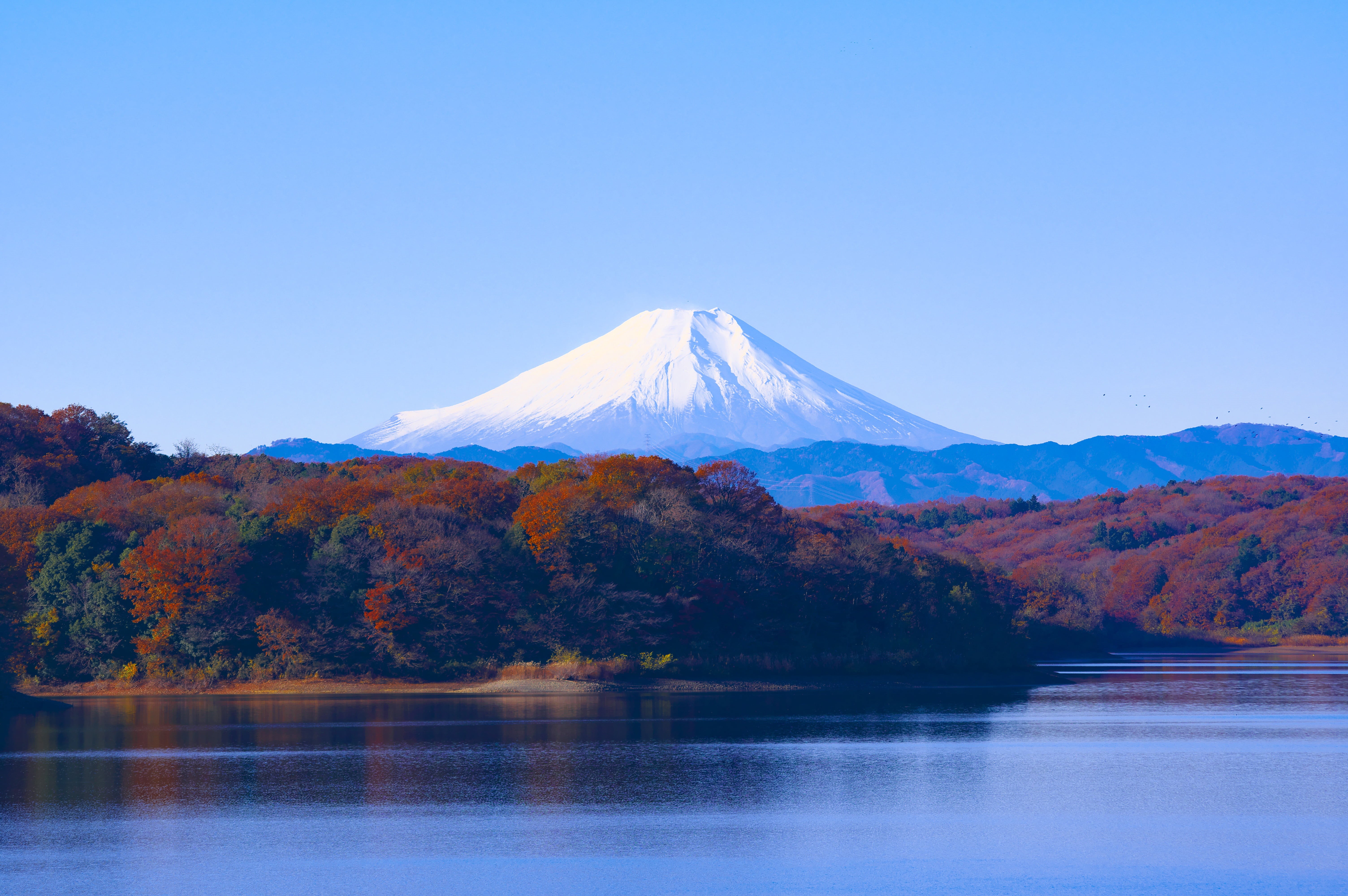 winter, autumn, fuji san, 5K, clear skies, snowcapped mountain, day, world heritage site, clear sky, lake Kawaguchi, landscape, mt Fuji, nature, travel destinations, HD Wallpaper