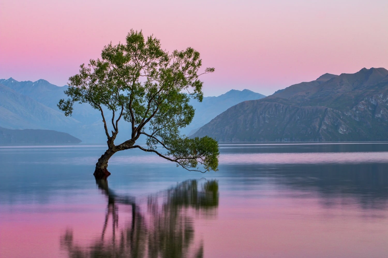 outdoors, Landscape, time, white, day, white skies, reflection, Sunrise  lake, lake, scenics, green, Lake Wanaka, 720P, photography, skies, tree, sky, HD Wallpaper