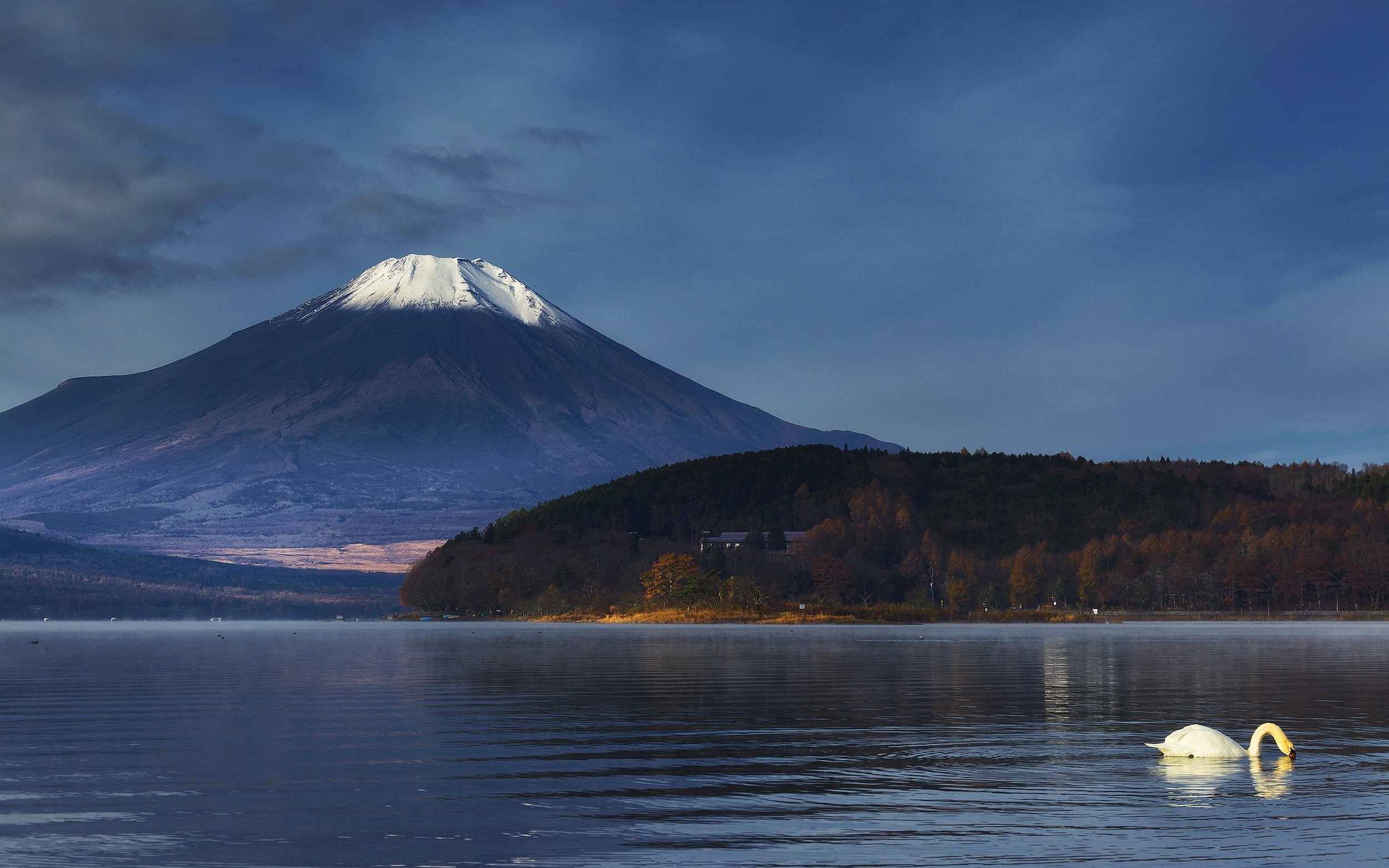 waterfront, trees, volcano, mountains, Mount Fuji, fall, lake, mountain peak, snowcapped mountain, sky, cloud - sky, 1080P, beauty in nature, animal themes, HD Wallpaper