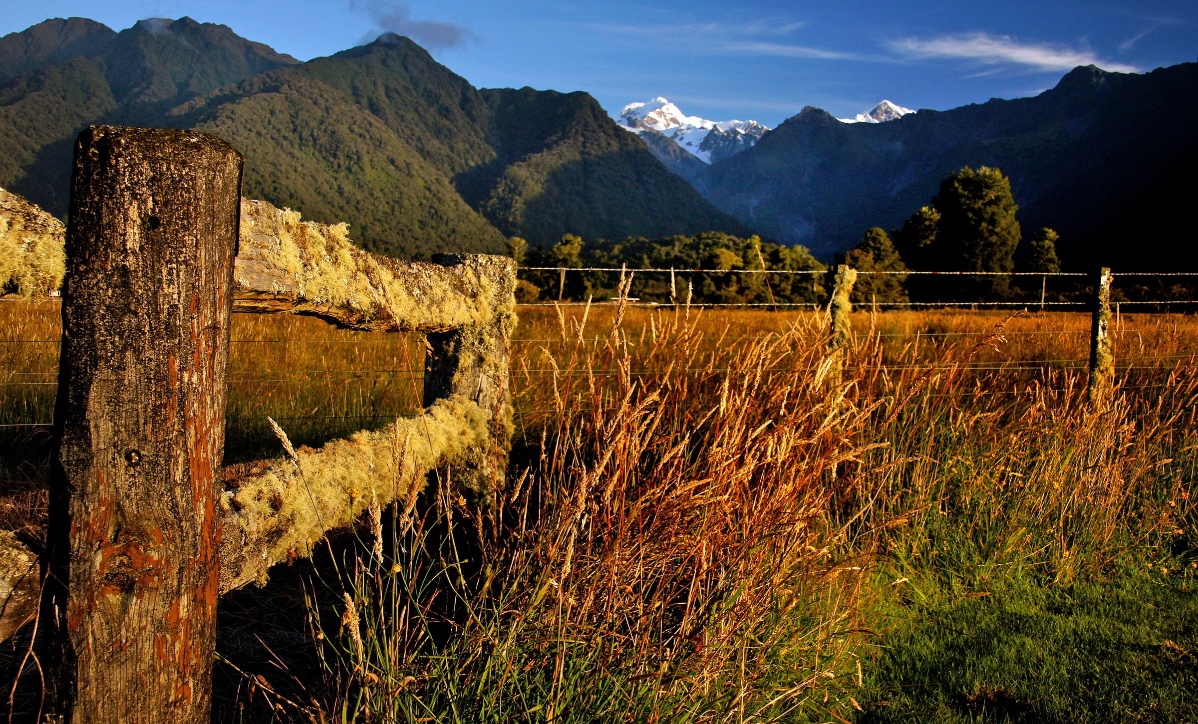 PZD, Dedication, lichen, white cloud, sunset  mountains, Sony DSLR A580, lover, outdoors, Moss, daytime, blue sky, scenics, Landscape, Geo-Tagged, Southern Alps New Zealand, HD Wallpaper