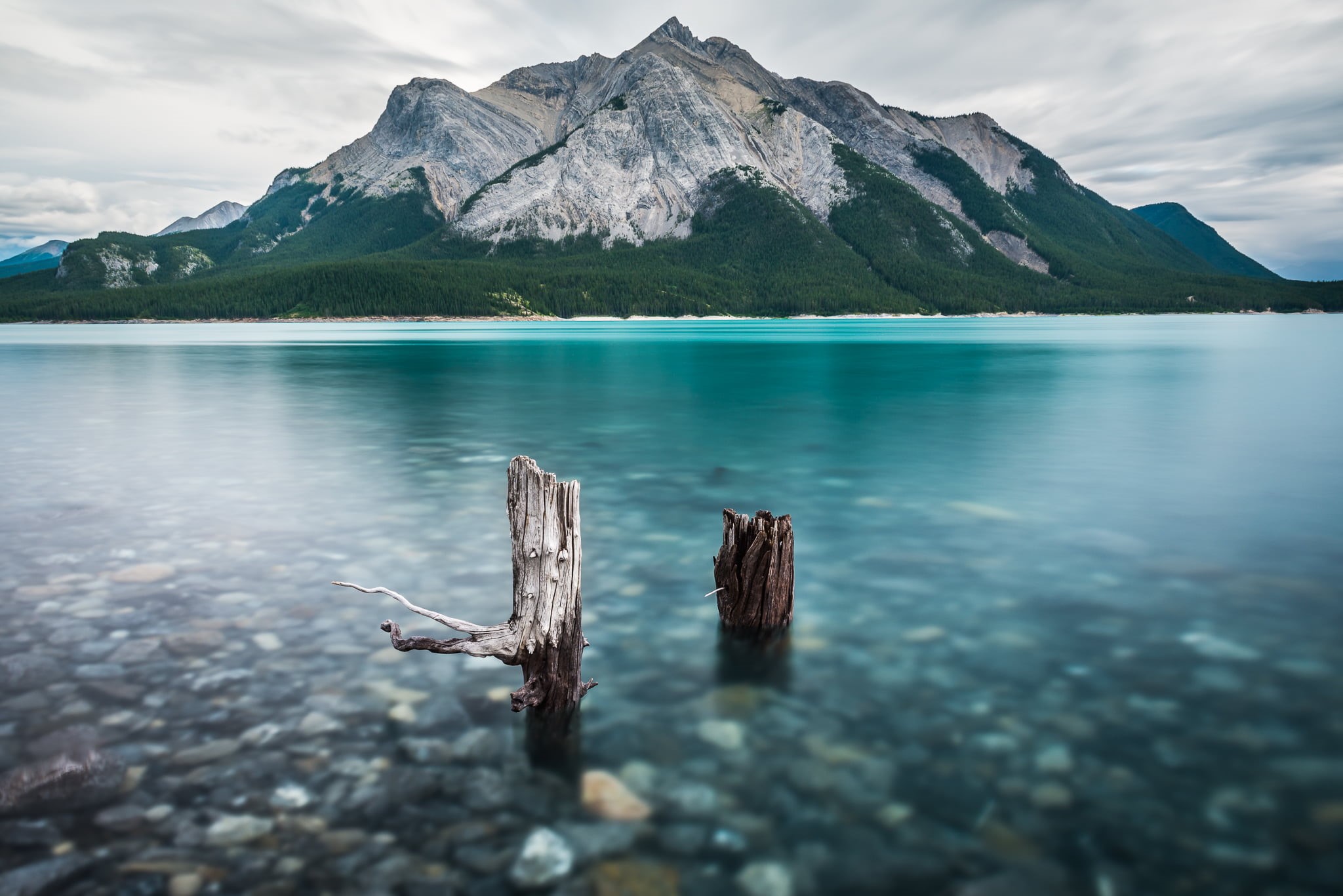 cloud, landscape, cumulus, nature, outdoors, travel, stump, photography, Canadian, cumulus cloud, summer, lake, surrounded, tree  trunk, Tree on a Hill, HD Wallpaper