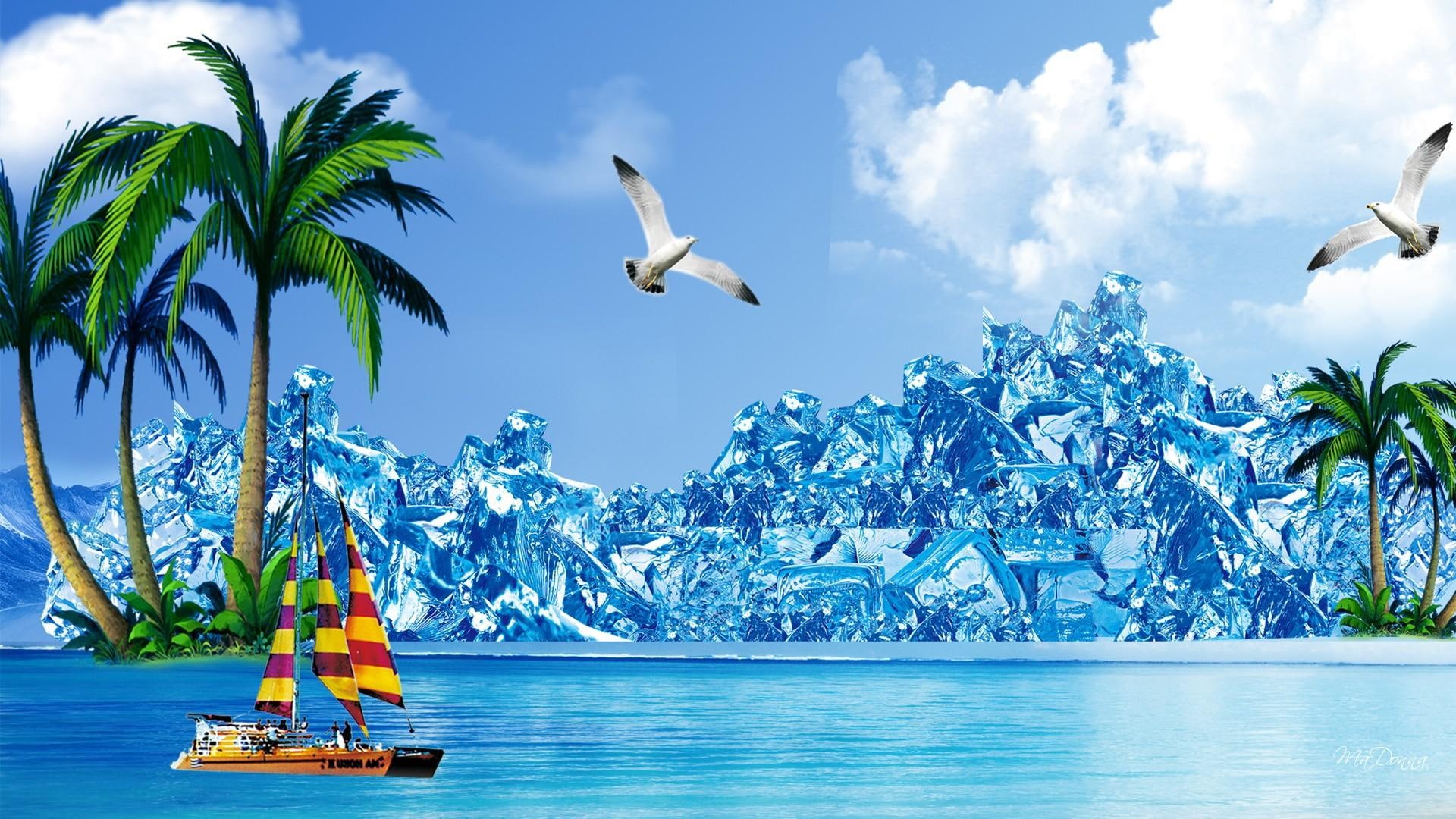 lake, 1080P, sea gull, water, clouds, sailboat, nature and land, cool, beach, icy, palm tree, summer, HD Wallpaper