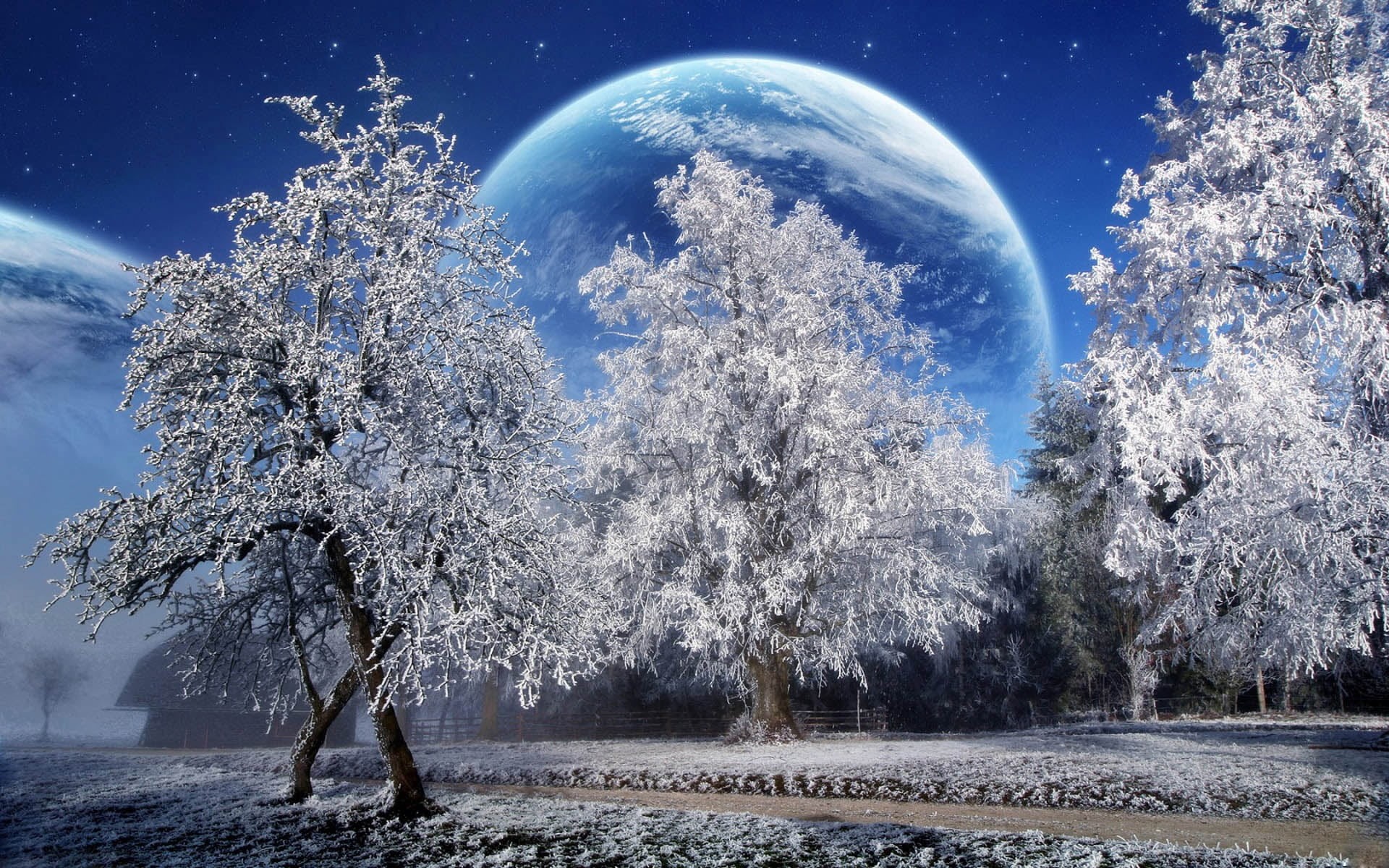 hoarfrost, stars, light - Natural Phenomenon, no people, night, sky, landscape, cold temperature, plant, 1080P, frost, environment, trees, earth, branch, HD Wallpaper