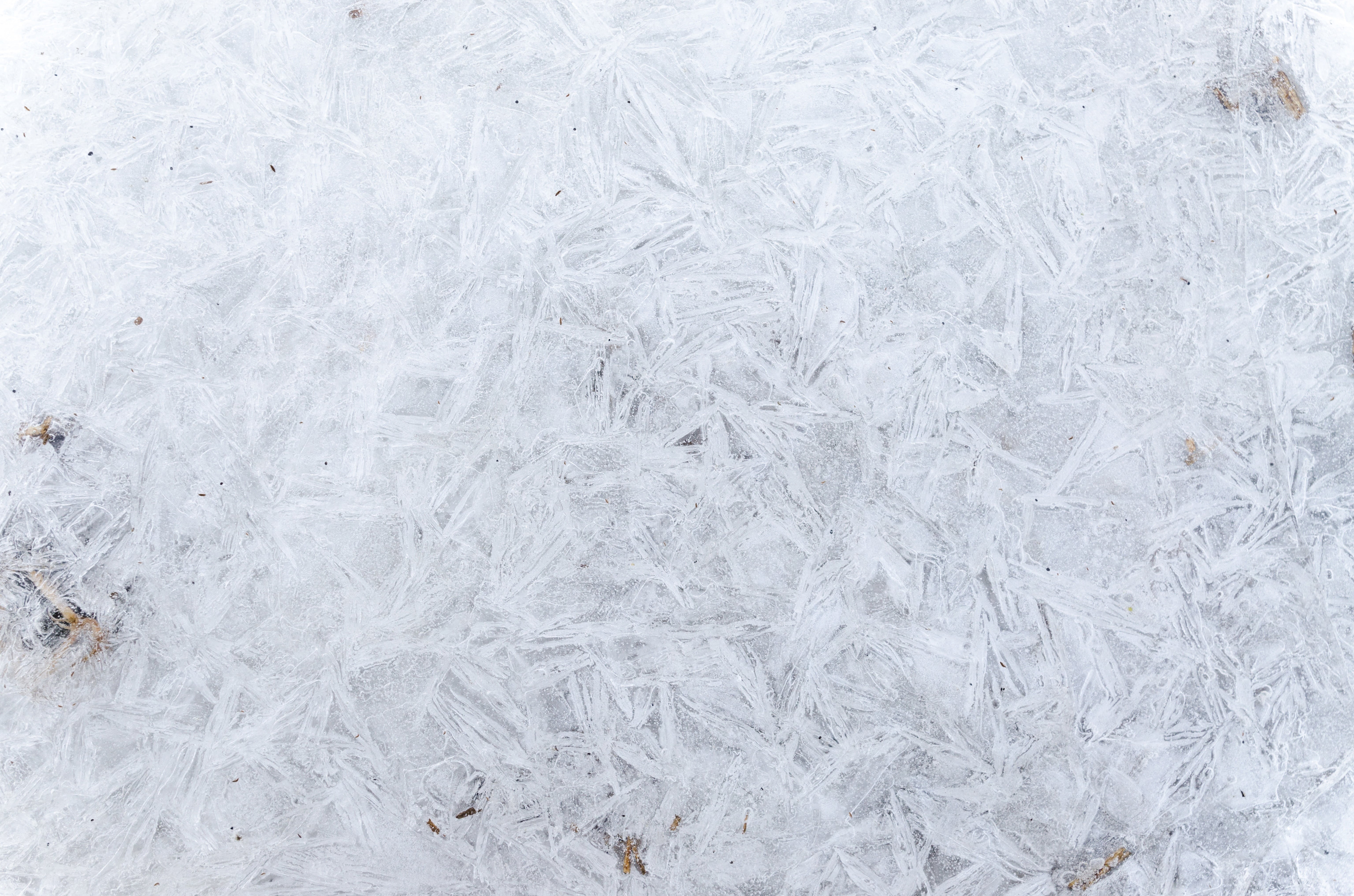textured, weather, outdoors, transparent, cool, closeup, nature, frozen, ze, snowflake, pattern, frost, glacial, icy, crystal, fresh, high angle view, blue, HD Wallpaper
