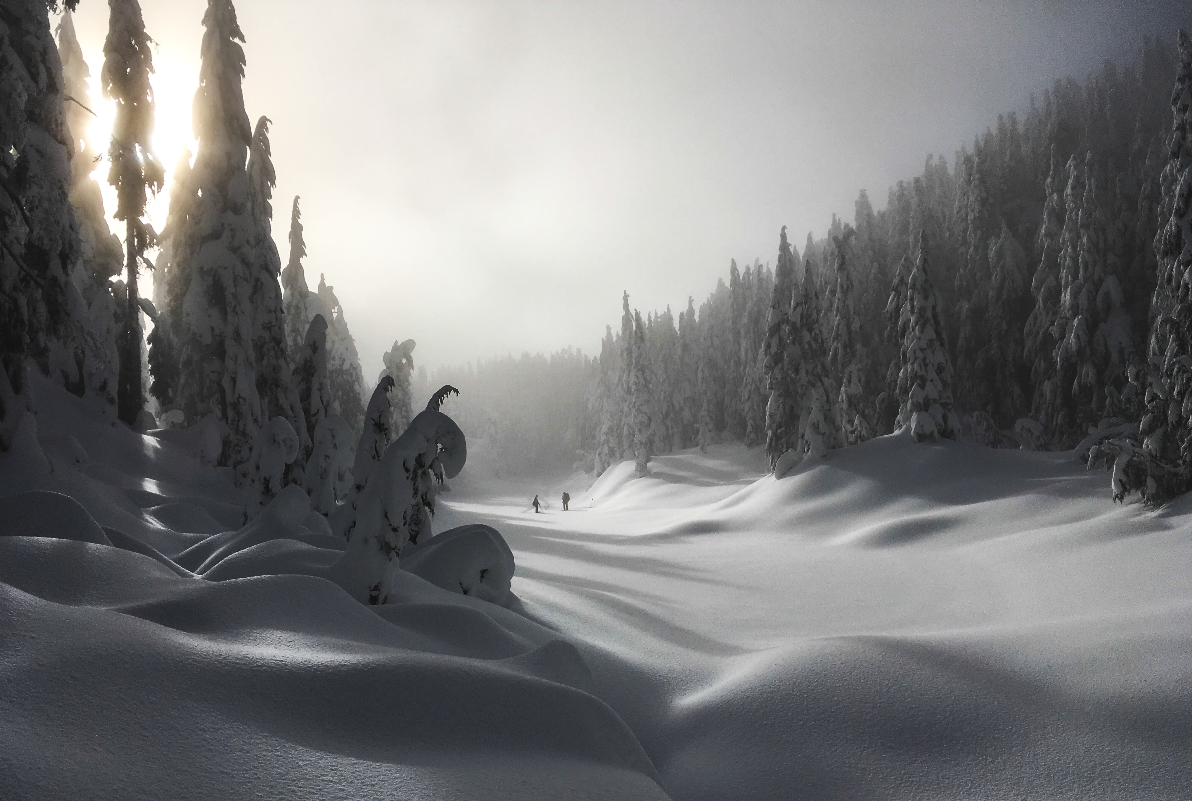 ice, frost, tree, trees, provincial, snow, cold - Temperature, Mountain, Hikes, white, nature, Lake, ground, mountain, landscape, park, Cypress Provincial Park, HD Wallpaper