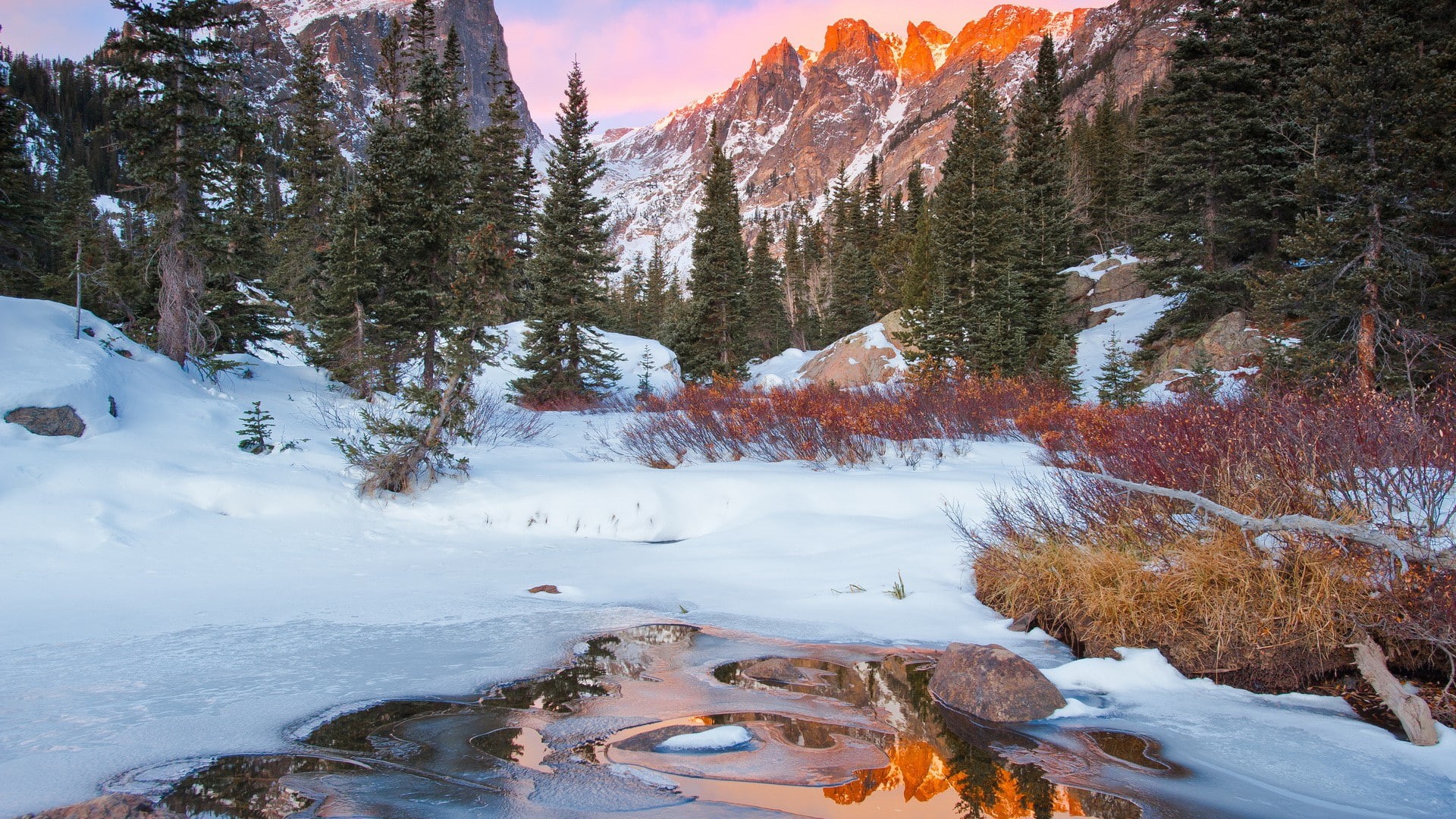 1080P, mountains, snow, tree, ice, hd, winter, nature, frozen, HD Wallpaper