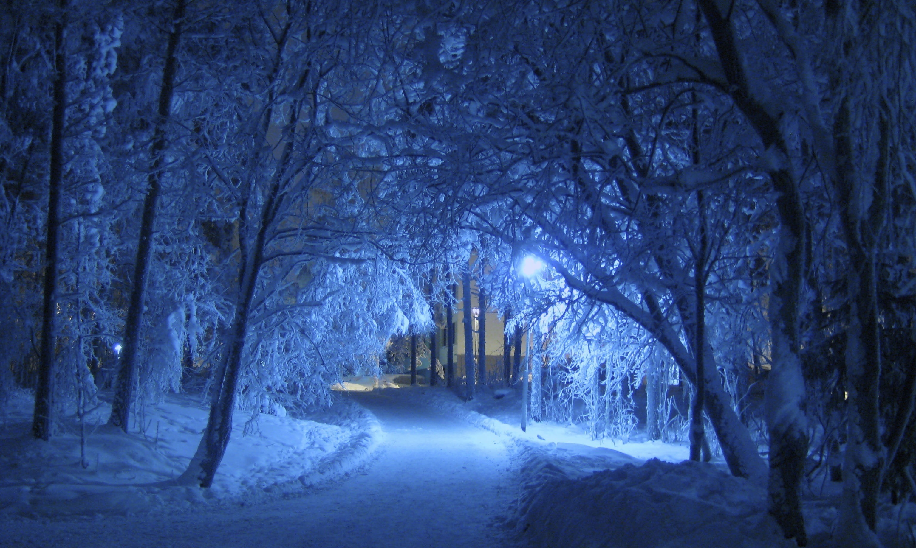 snowy arch, covered, tranquility, tranquil scene, road, spooky, treelined, pathway, snow cover, trail, snowy, winter magic, finland, scenics - nature, snow, HD Wallpaper