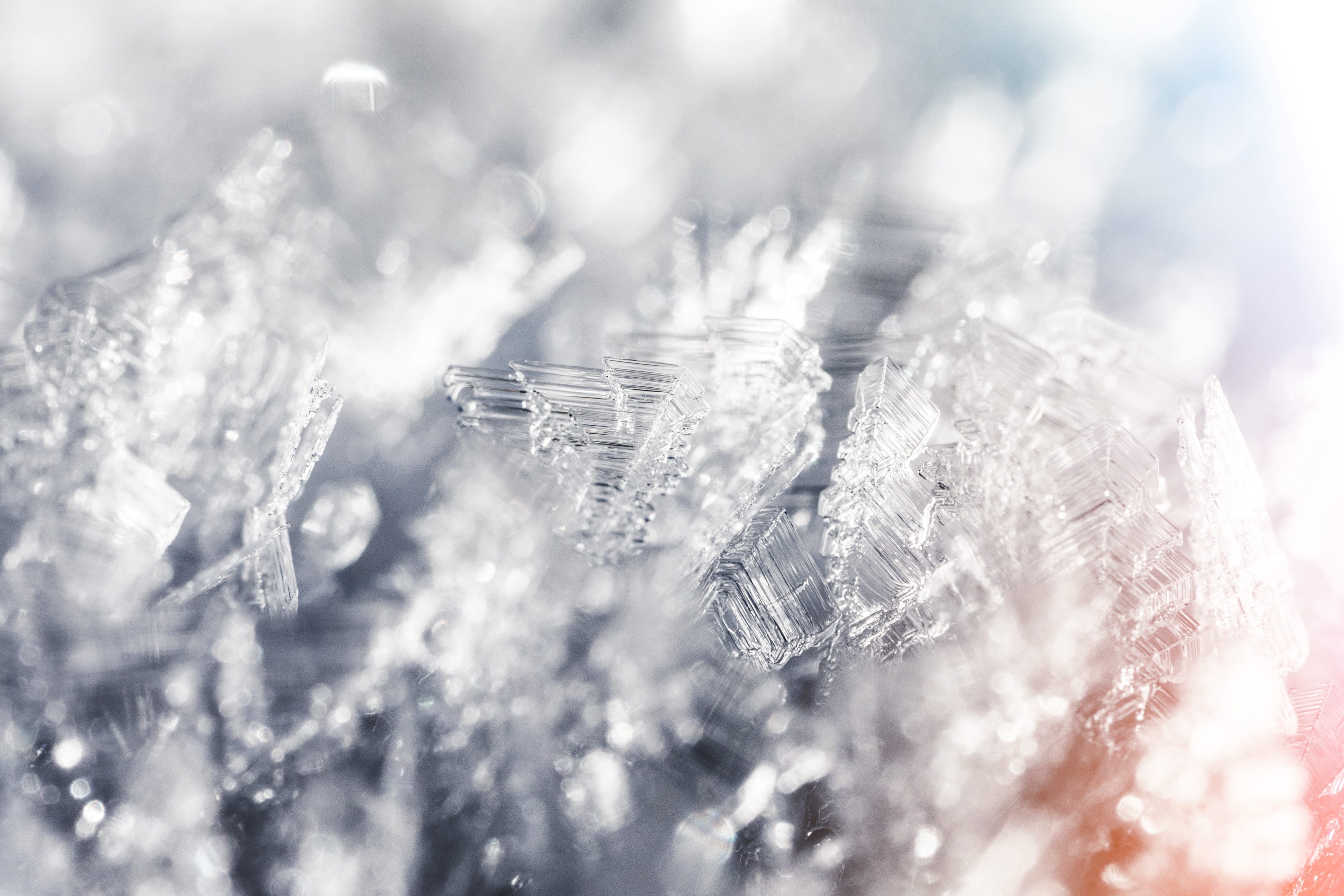 Frozen, selective focus, 4K, outdoors, beauty in nature, Winter, ice, snowflake, bright, macro, snow, brightly lit, day, vulnerability, crystal, cold, HD Wallpaper