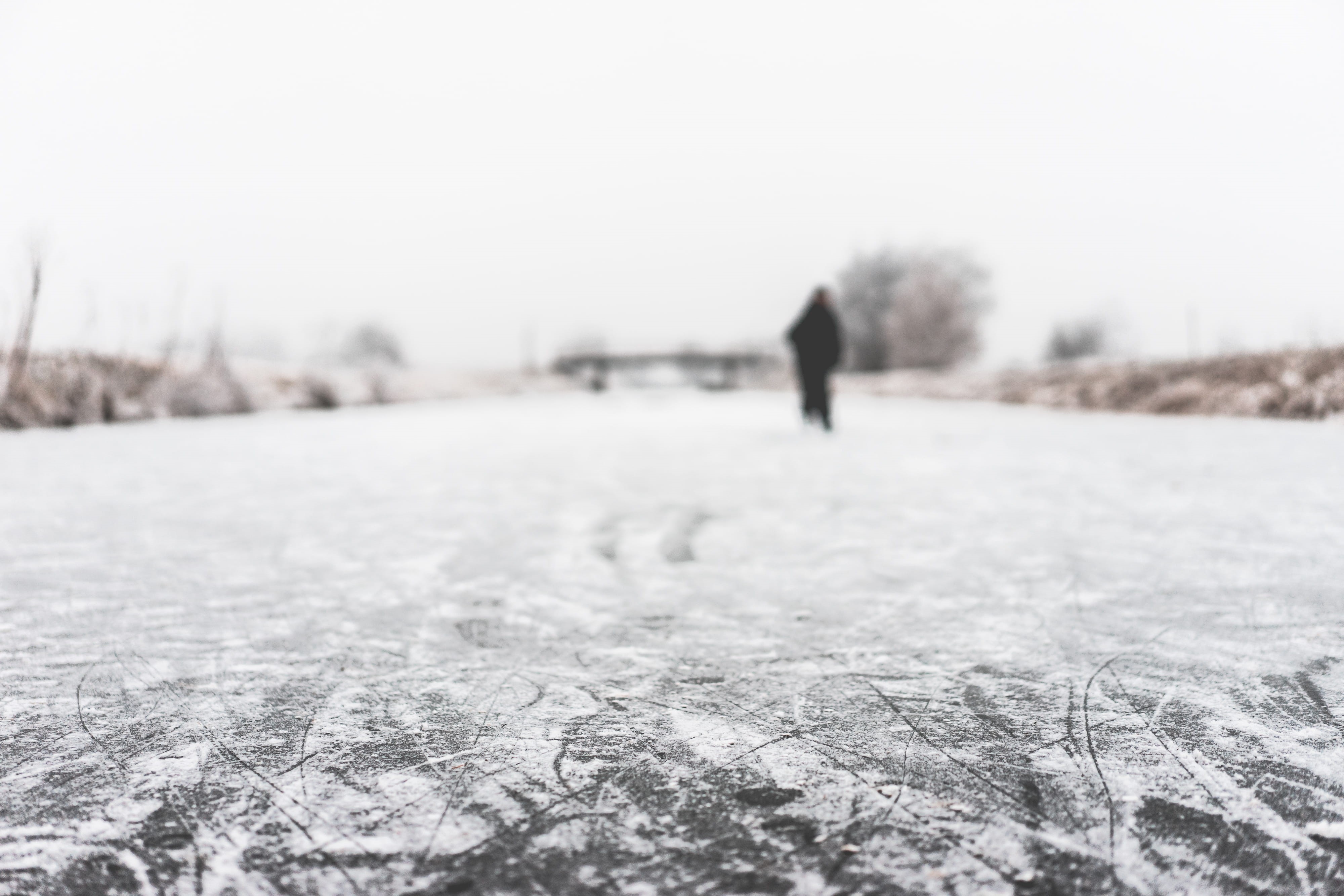 Frozen River, water, december, one Person, rear view, warm clothing, zing, cold - Temperature, cold, plant, sport, lifestyles, frozen, land, active, tree, HD Wallpaper