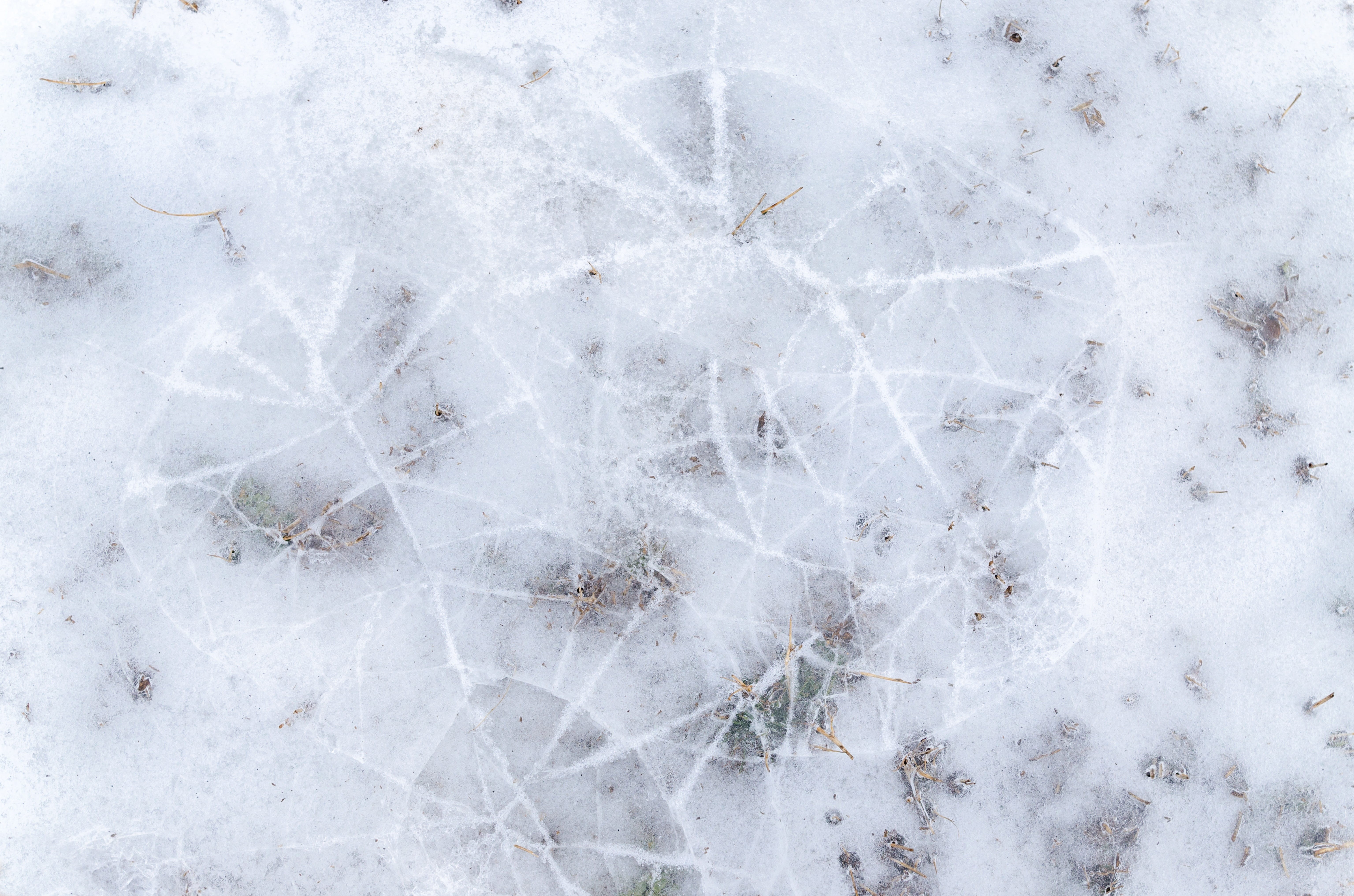 winter, black, closeup, beautiful, icy, structure, solid, design, blue, full frame, directly above, abstract, black Marble, crystal, cold temperature, white color, HD Wallpaper
