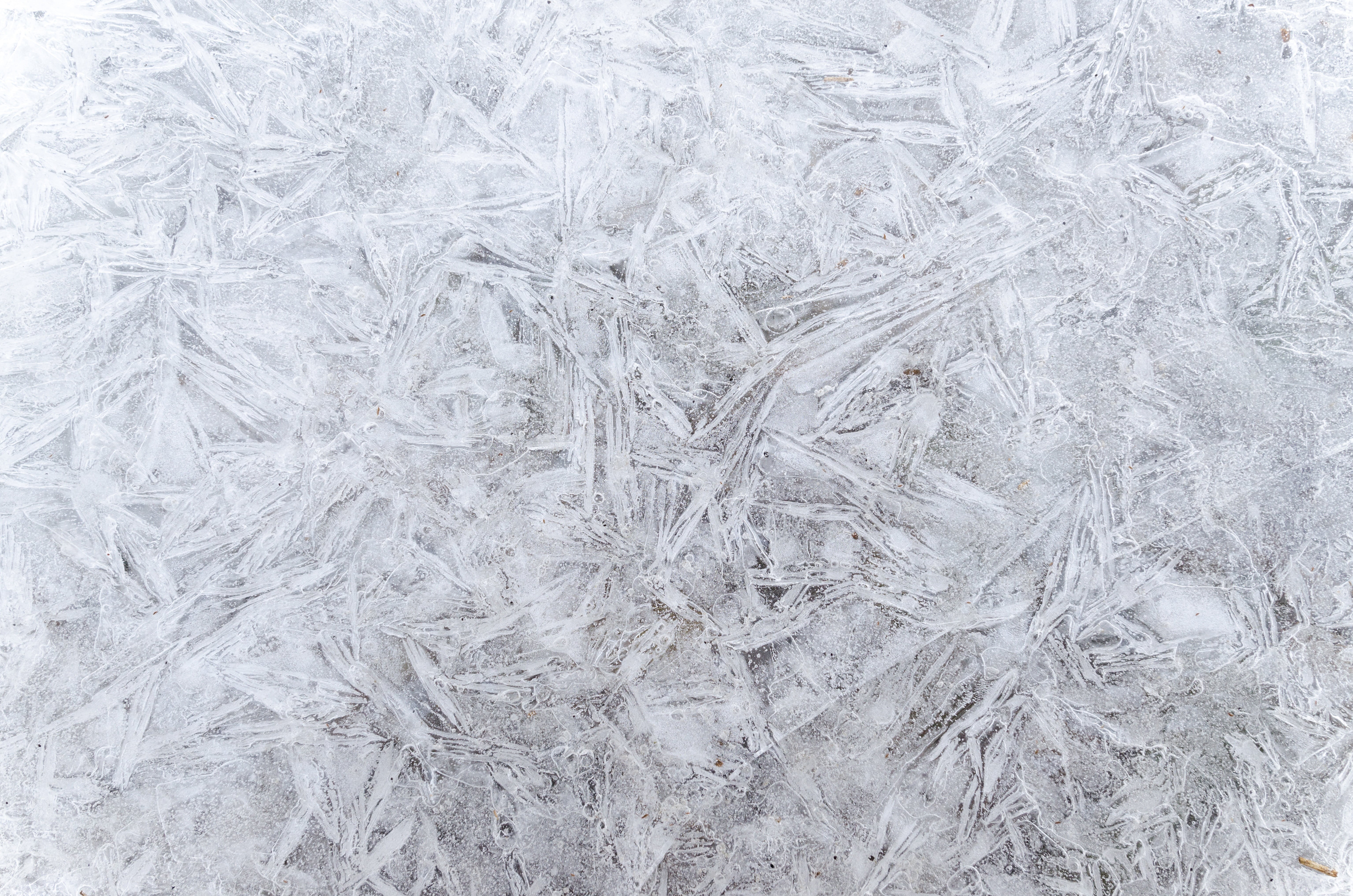 icy, high angle view, 5K, winter, cold, season, cold temperature, surface, color, frozen, pattern, window, transparent, blue, polar, white color, ze, structure, HD Wallpaper