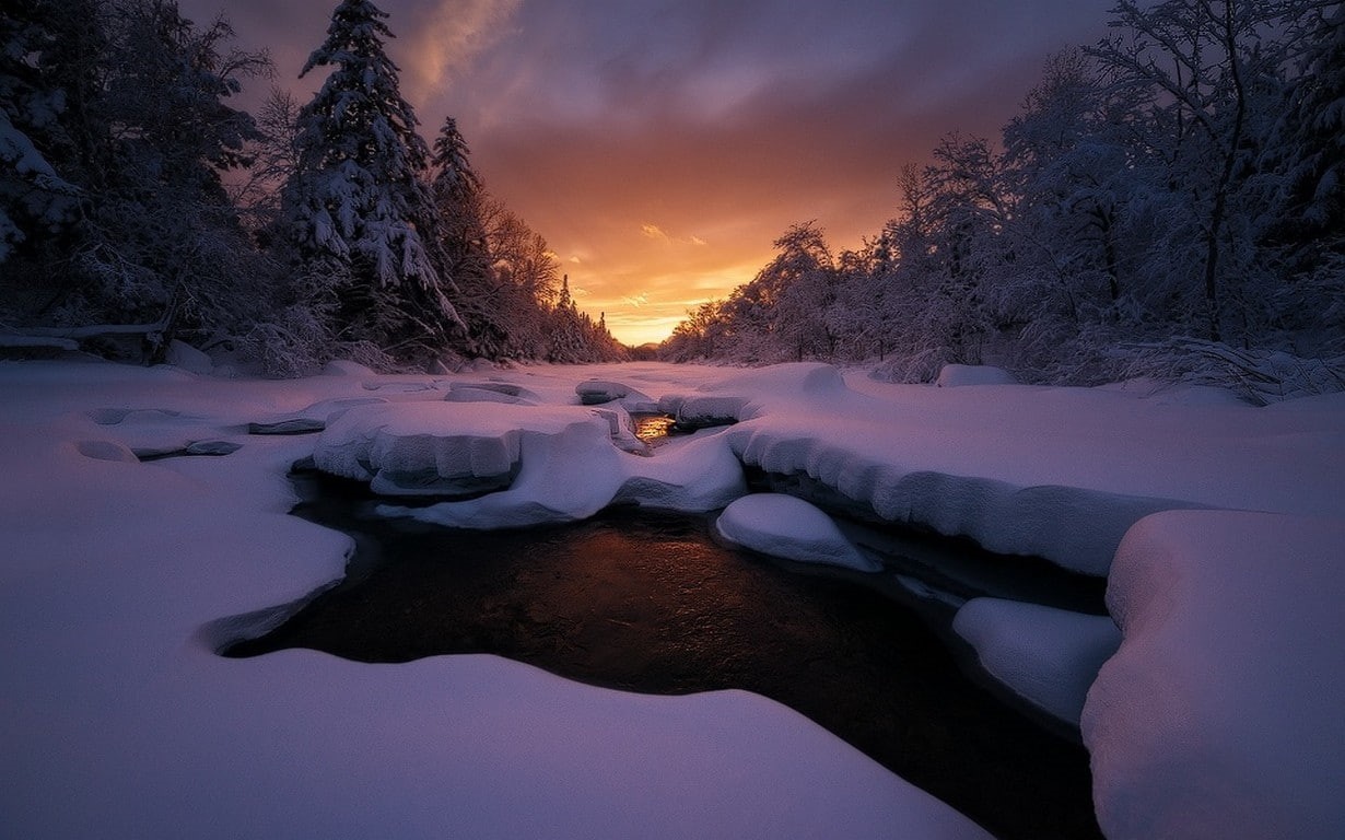frost, snow, clouds, sky, cold, trees, landscape, 480P, nature, winter, forest, Maine, sunset, HD Wallpaper