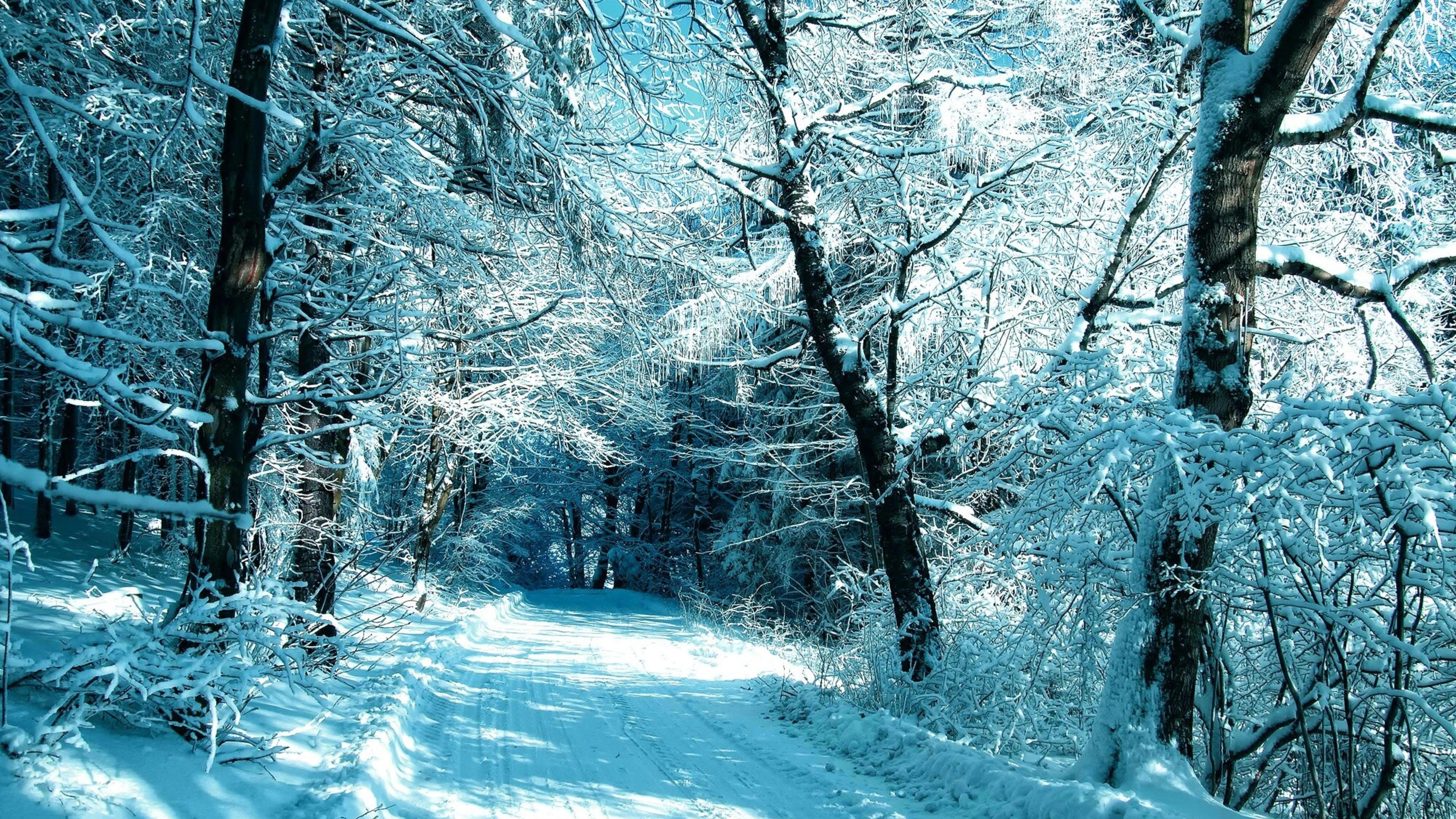 tranquil scene, frost, plant, close, solid, purity, wave, ice, cold, christmas, aqua, water, clean, ripple, icy, tranquility, woodland, covering, azure, HD Wallpaper