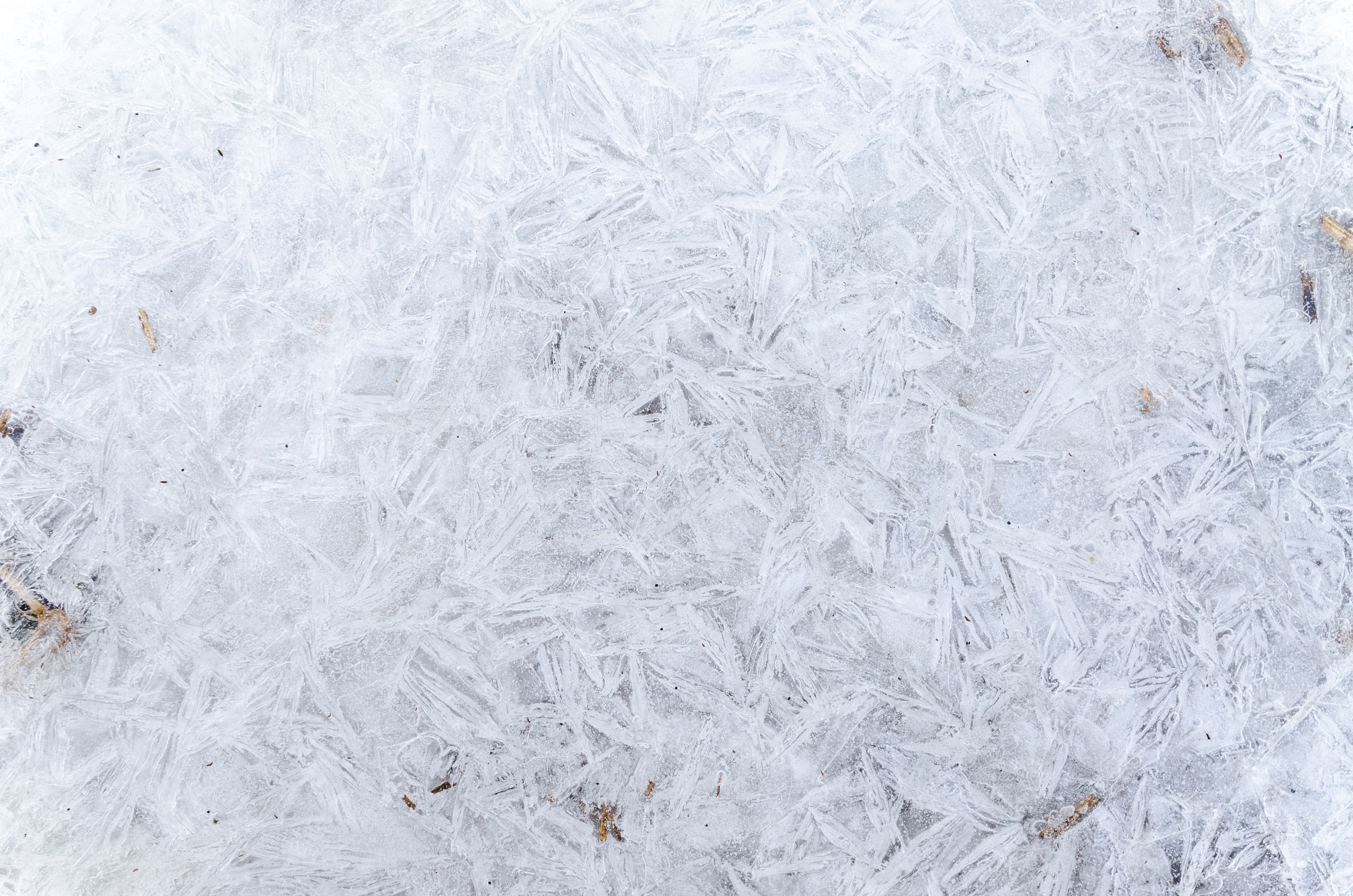 5K, glass, closeup, weather, white, snow, pattern, backdrop, ice, arctic, close-up, seasonal, bright, color, christmas, cool, no people, frozen, white color, HD Wallpaper