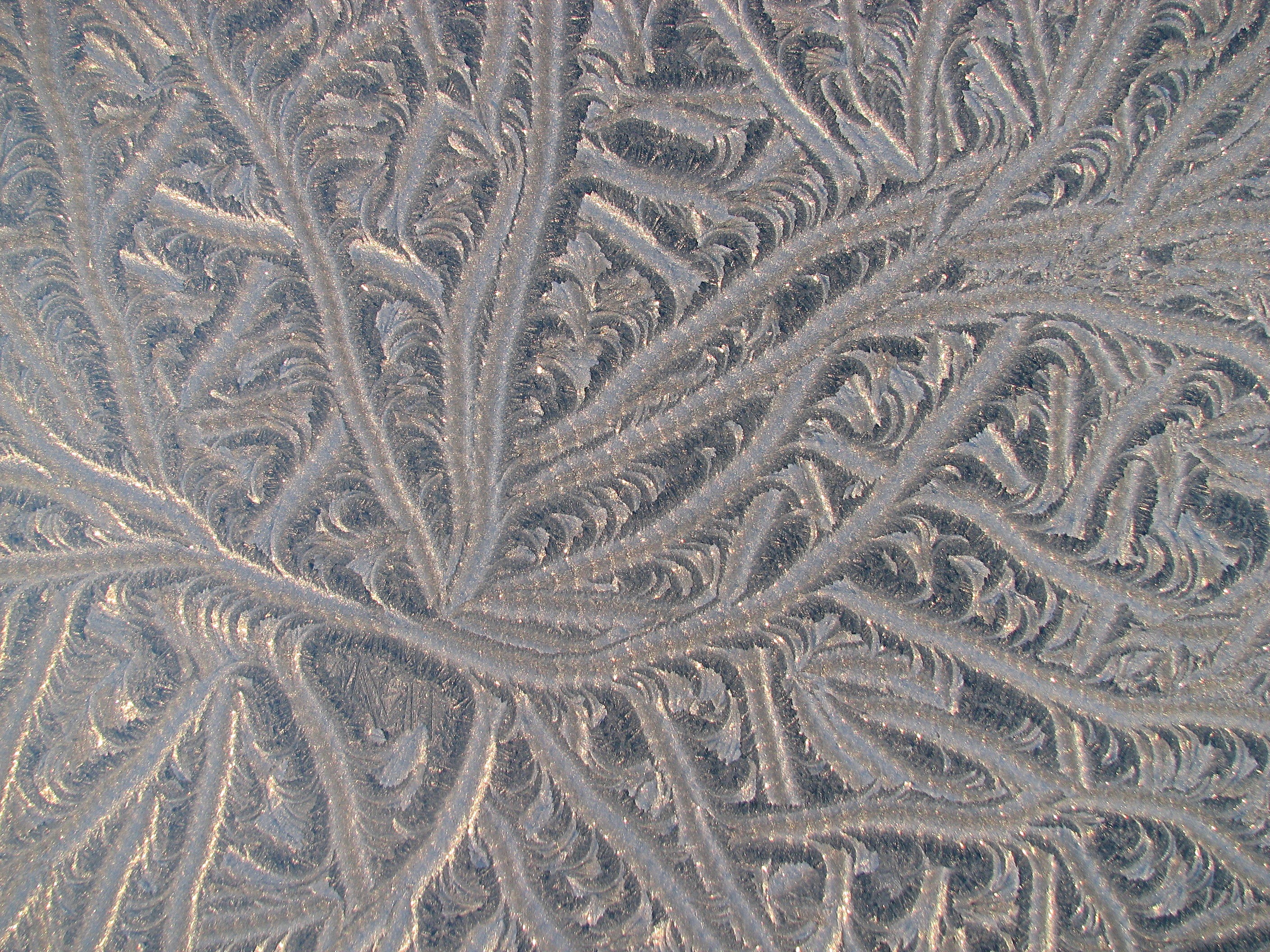 textured, metal, frost, pattern, crystal, winter, elegance, ze, full frame, ice, glass, textile, december, abstract, craft, ornate, floral pattern, repetition, HD Wallpaper