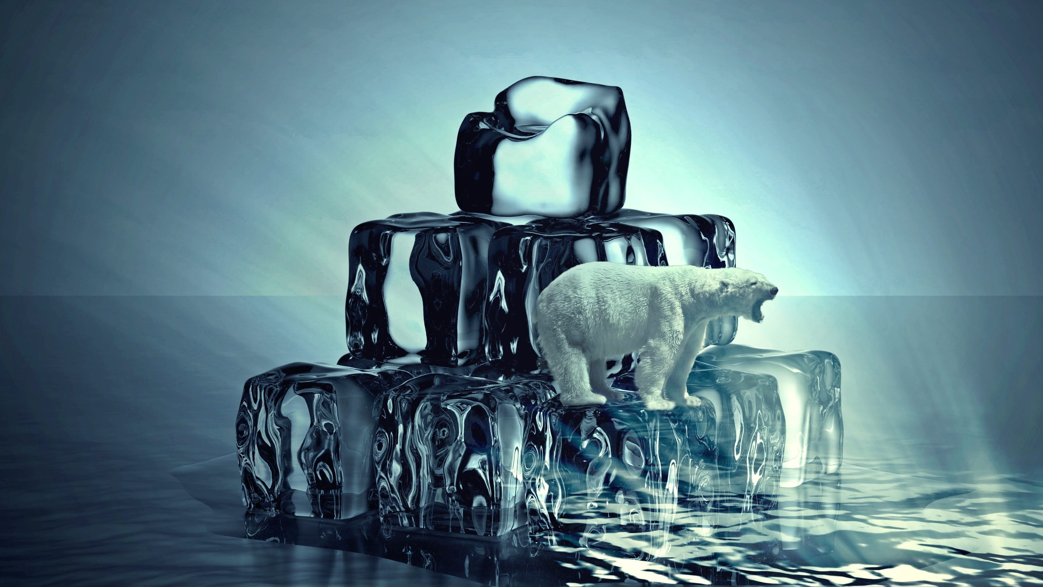 polar, ice, indoors, melt, icebergs, blue, polar bear, arctic, gray background, iced, animal, cubes, studio shot, composing, water, predator, frostog, melting, HD Wallpaper