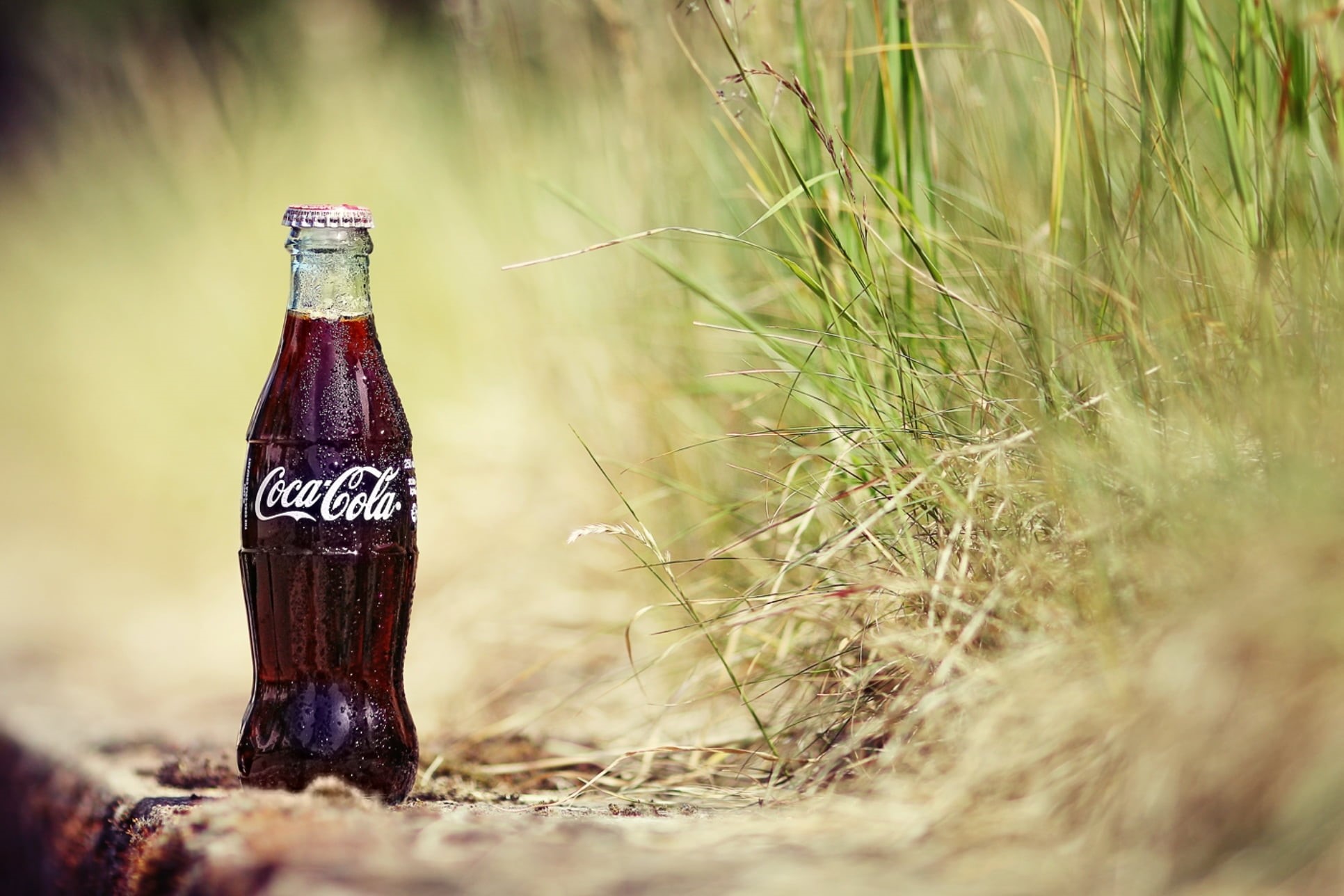 soda, wood - material, cold - Temperature, Cola, alcohol, outdoors, communication, glass, single Object, drink, grass, field, full, close-up, selective focus, HD Wallpaper