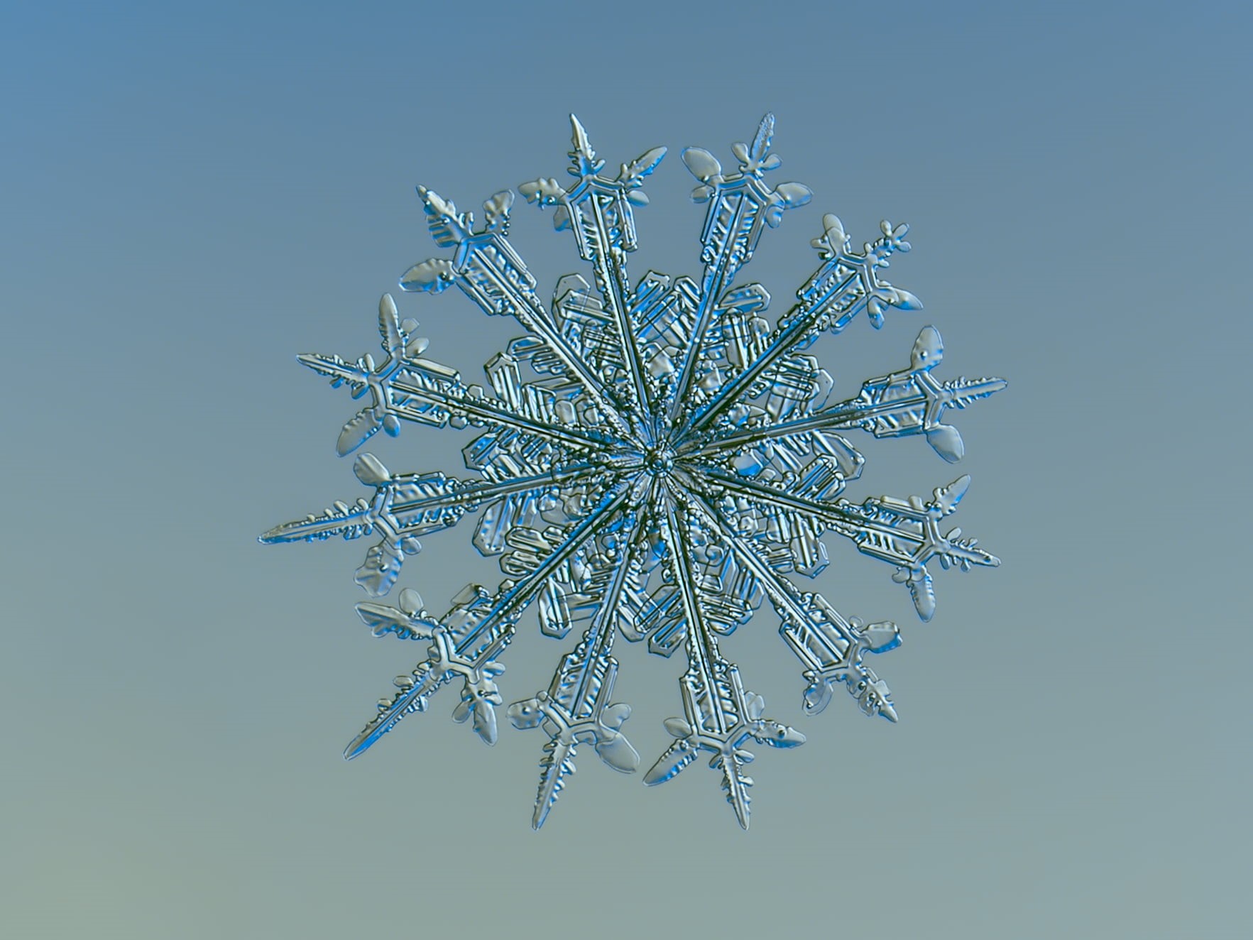 decoration, seasonal, shape, pattern, beauty, shiny, Snowflake, frost, decor, ornate, magnified, decorated, transparent, icy, macro, weather, frosty, sign, HD Wallpaper