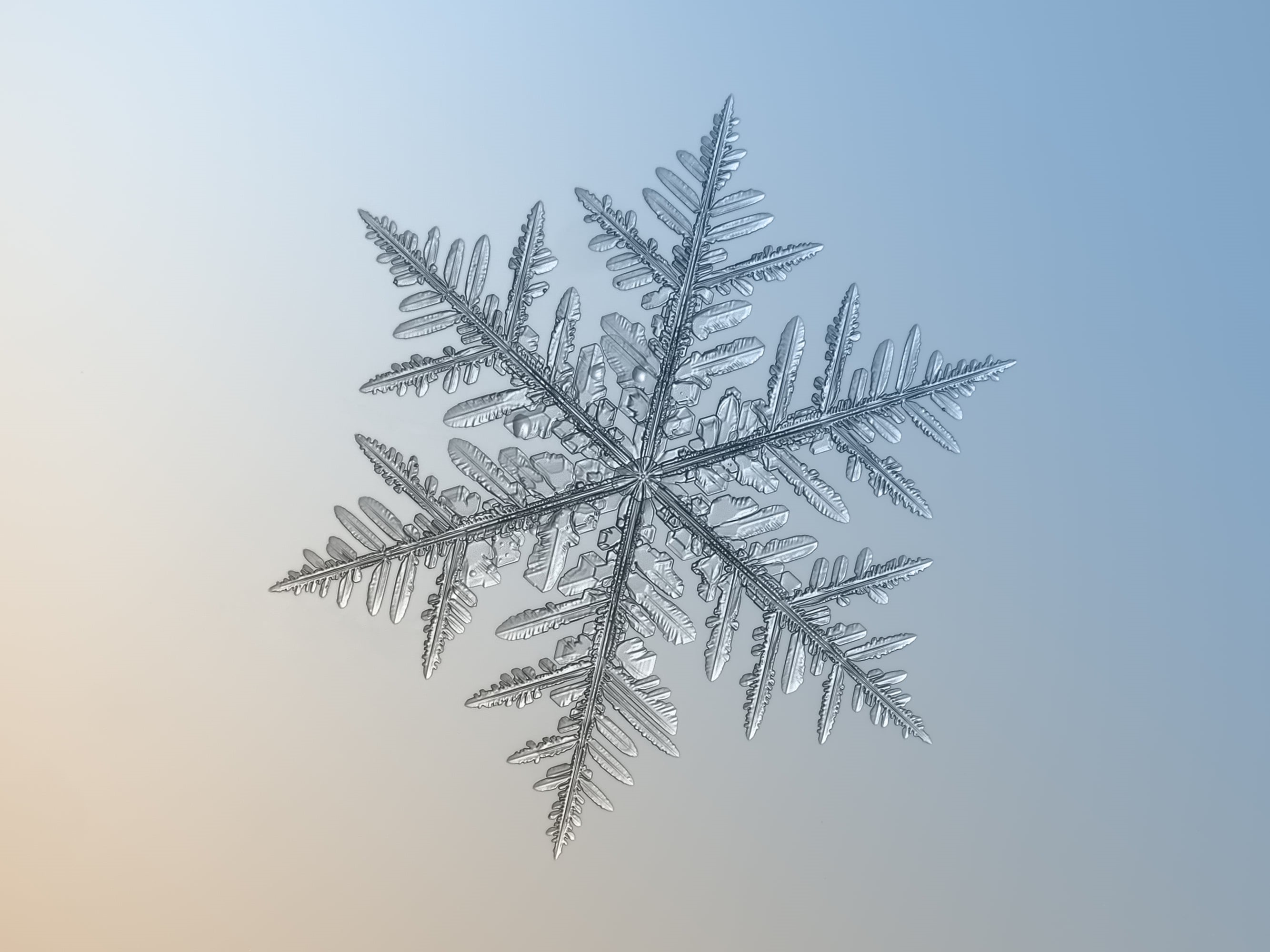 decorated, microscopic, outdoor, frost, fragile, beautiful, photo, decor, shiny, transparent, winter, new year, hexagon, frosty, symbol, cold, pattern, HD Wallpaper