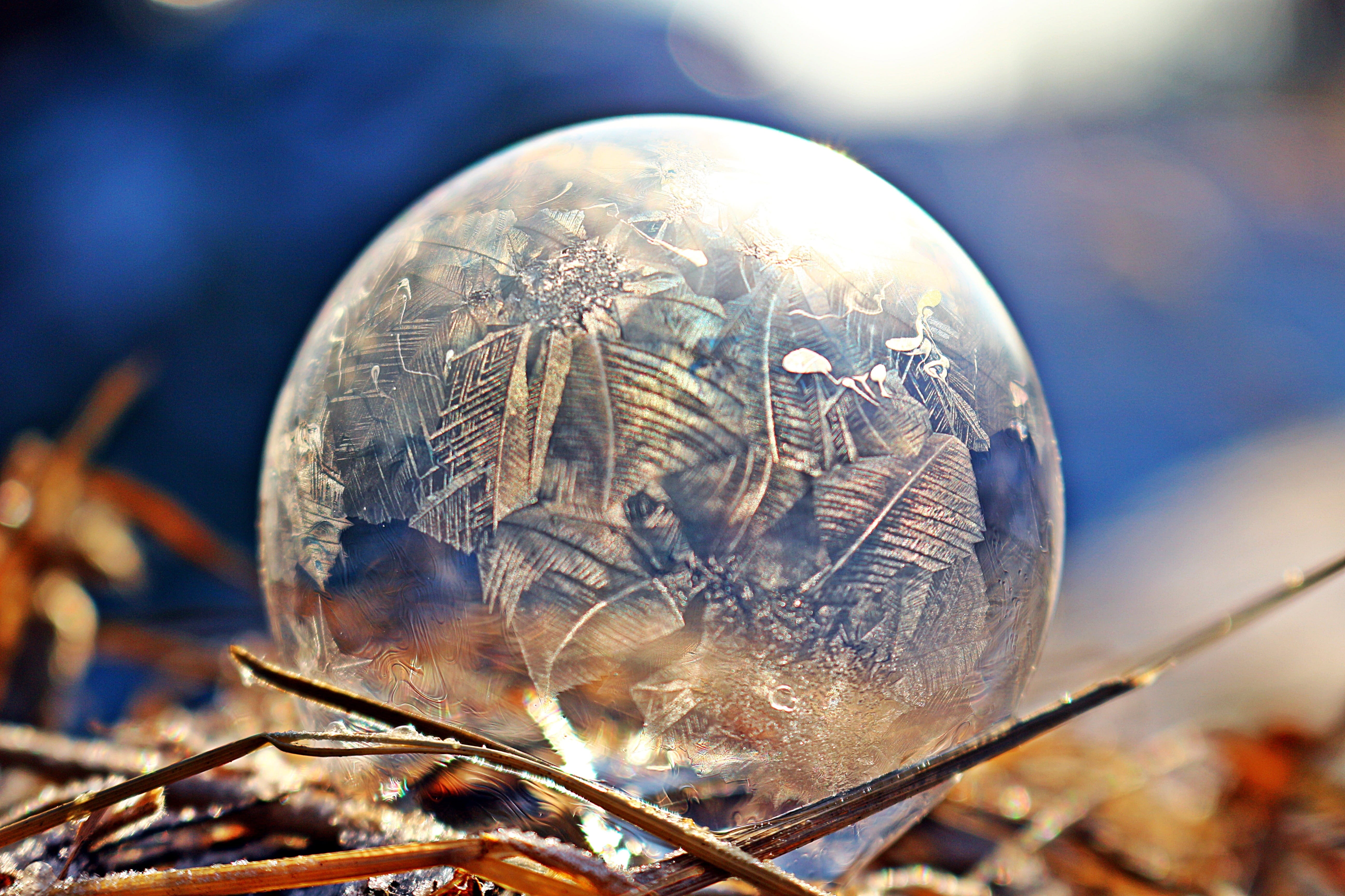 ice crystal, frost bubble, structure, frost ball, selective focus, nature, ice, frozen, close-up, animal, ze, animal wildlife, macro, pattern, seifenblase frozen, HD Wallpaper