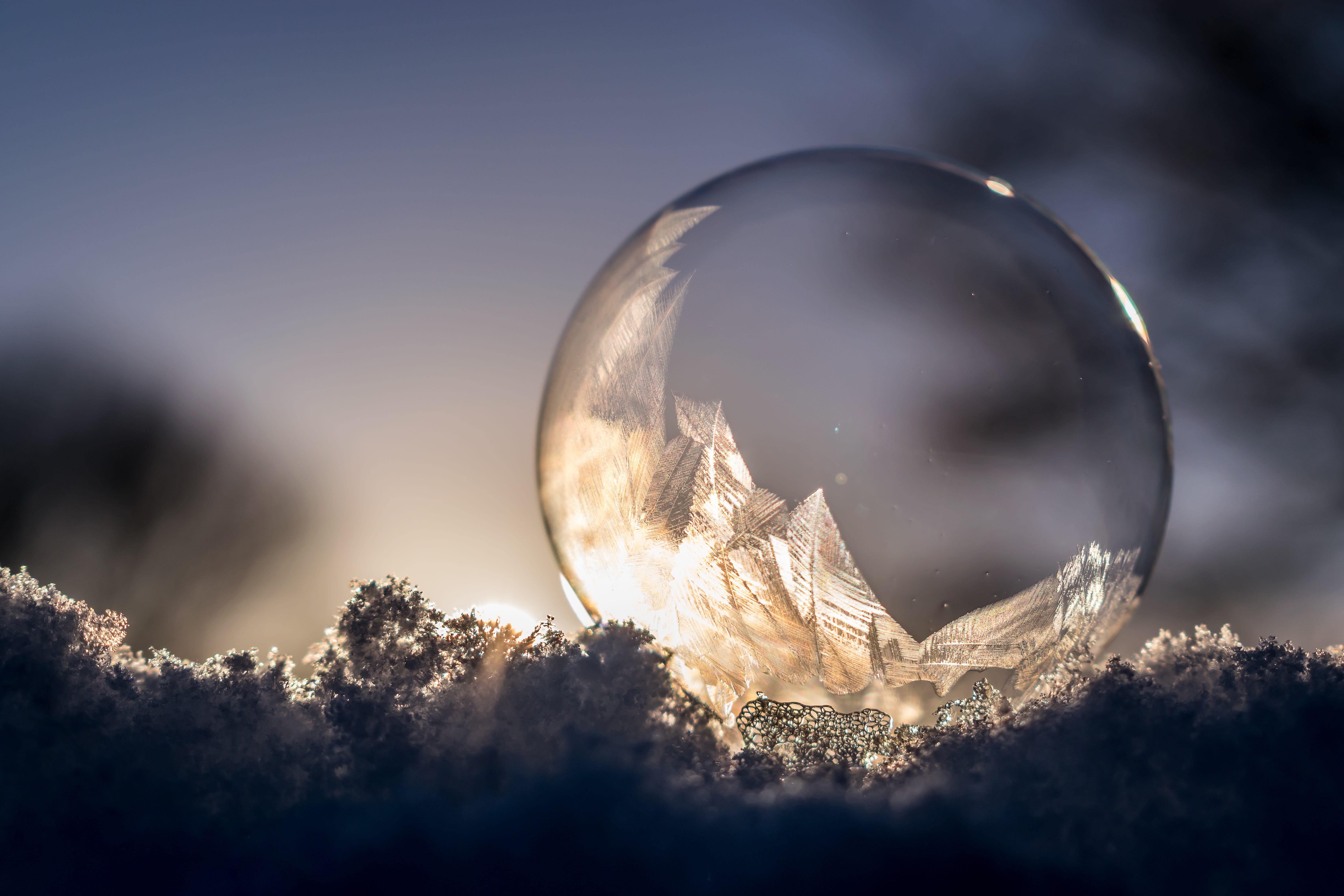 back light, outdoors, close, crystals, sky, digital composite, 5K, frost blister, frozen bubble, the winters tale, flakes, spherical shape, sun, magic, HD Wallpaper