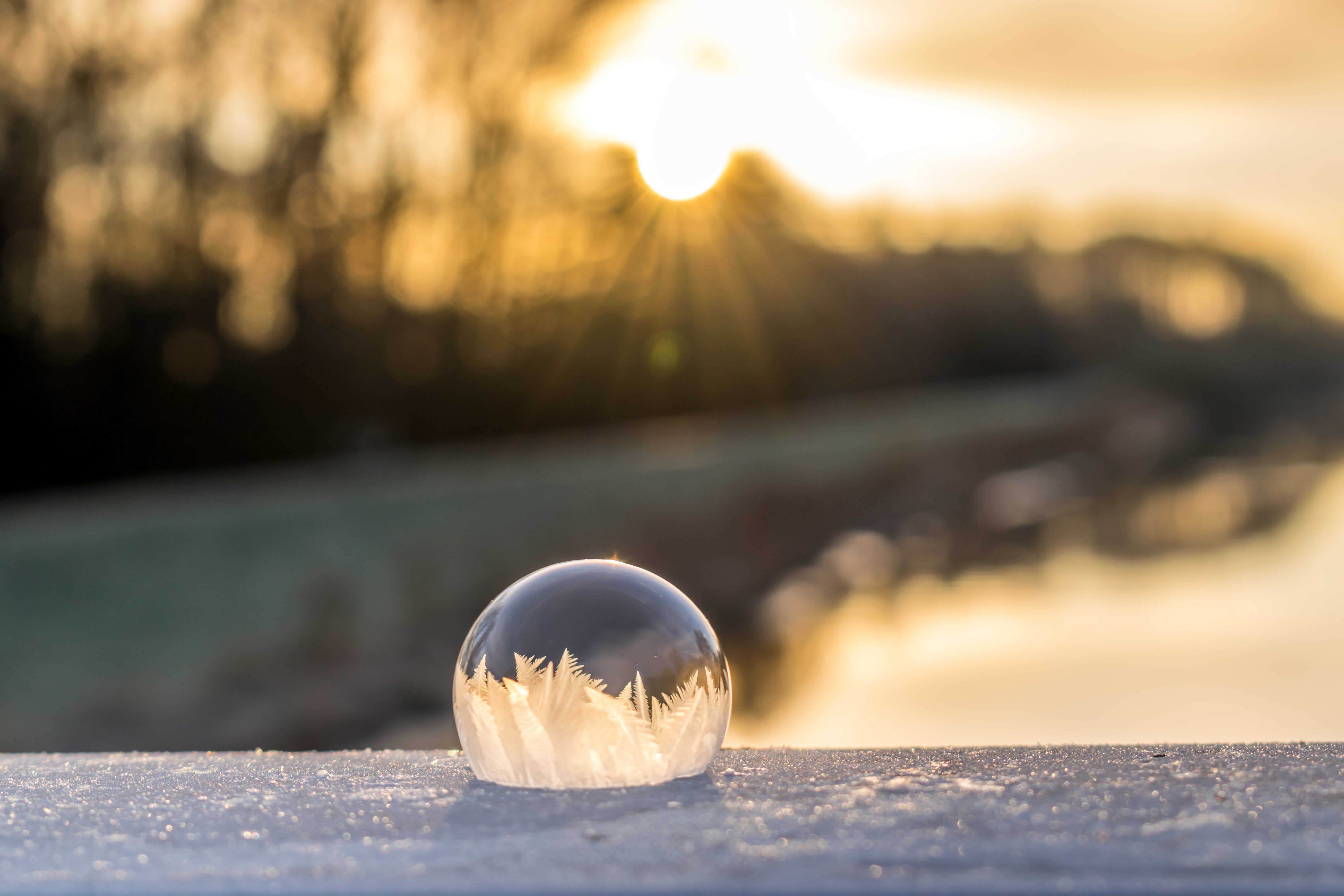 back light, cold temperature, environment, iced, soap bubble, focus on foreground, magical, crystal ball, sunlight, 5K, outdoors, selective focus, no people, HD Wallpaper