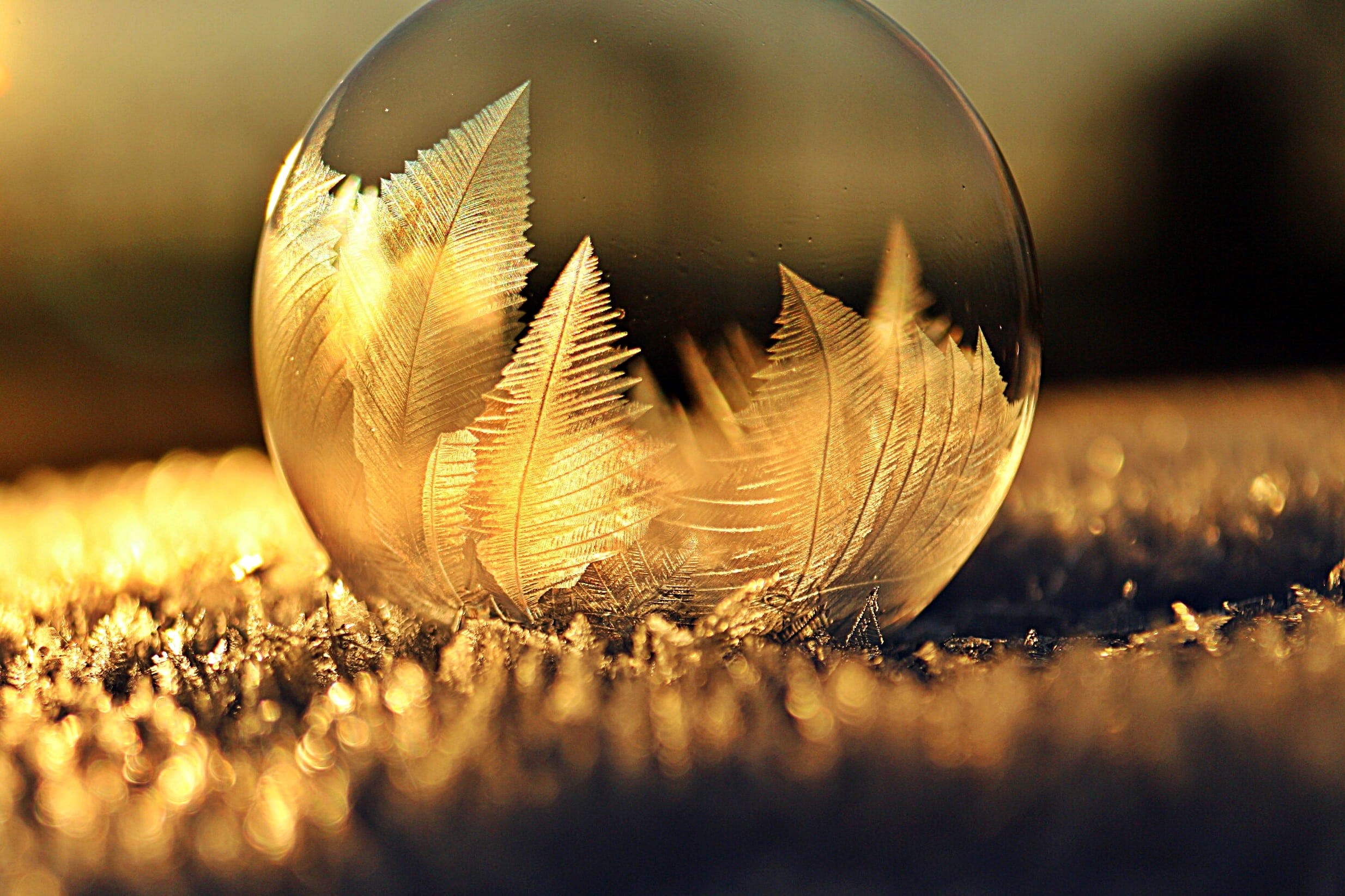 eiskristalle, beauty in nature, soap bubble, selective focus, surface level, outdoors, no people, cold, nature, macro, sphere, frozen bubble, glass, photo, HD Wallpaper
