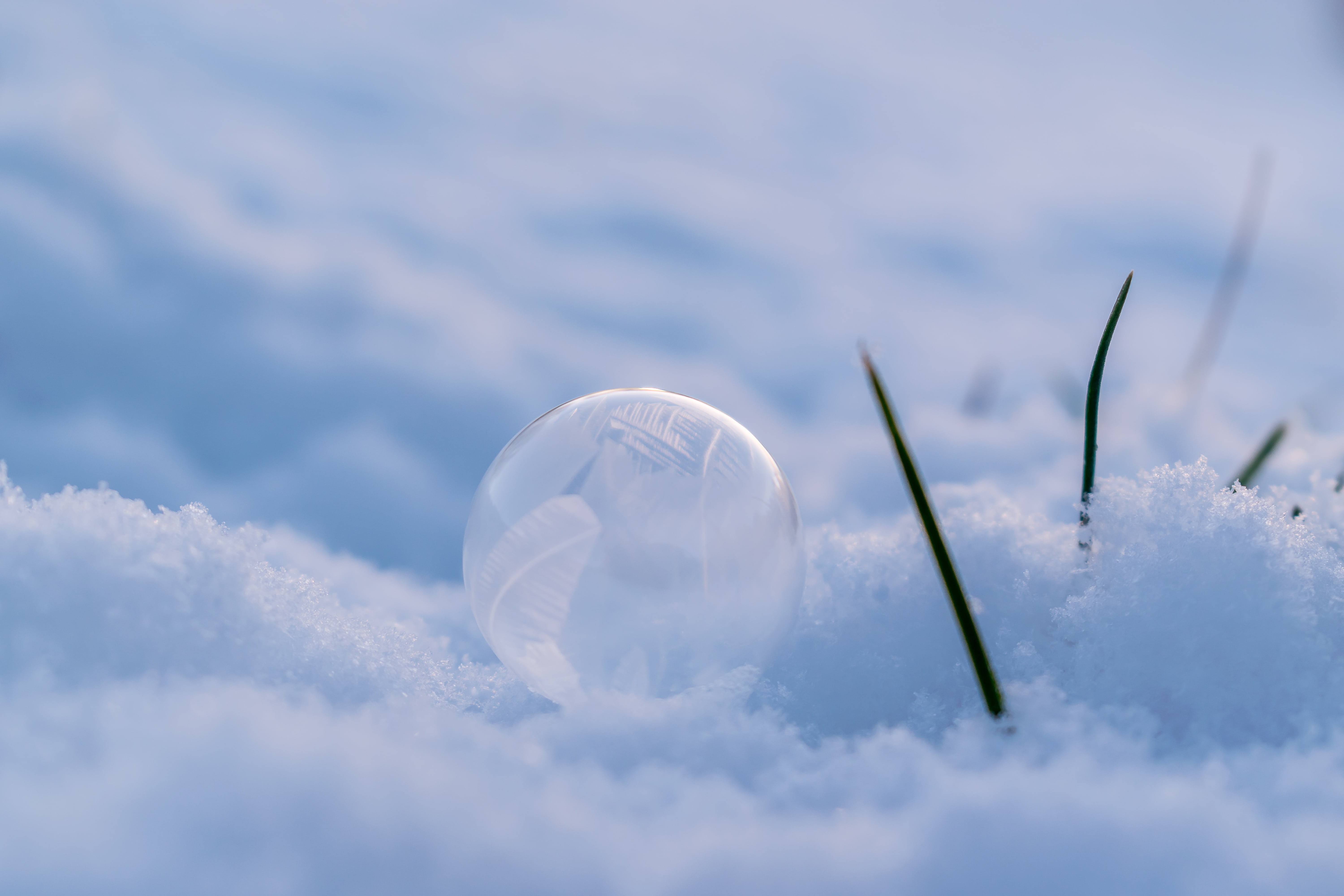 ball, hoarfrost, ice, winter time, day, white, white color, close, blue, environment, sky, rau, seifenblase frozen, bubble, cold, ripe, snowflake, frosted, HD Wallpaper