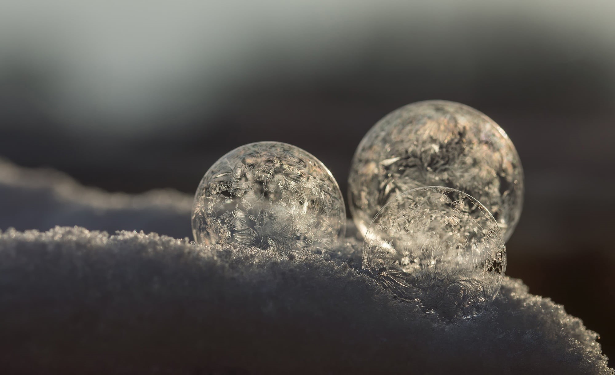 frost blister, healthcare and medicine, frost globe, bubble, trio, photo, ornaments, closeup, studio shot, science, snow, round, frosted soap bubble, sphere, HD Wallpaper