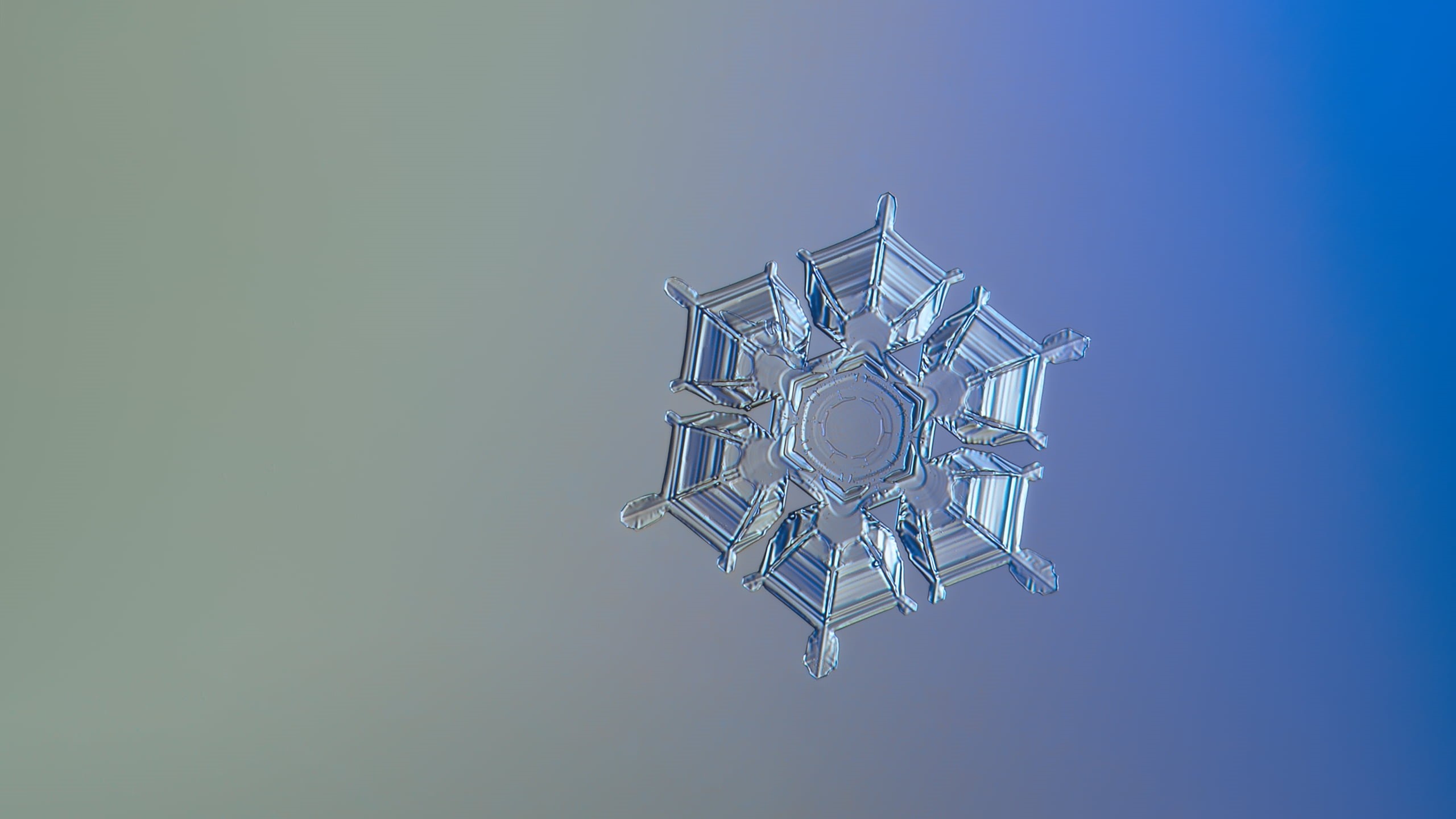 ultra  hd, snowflake, abstract, details, fine, crystal  symmetry, bright, ornate, backgrounds, beautiful, winter, 2K, structure, high  definition, natural, HD Wallpaper