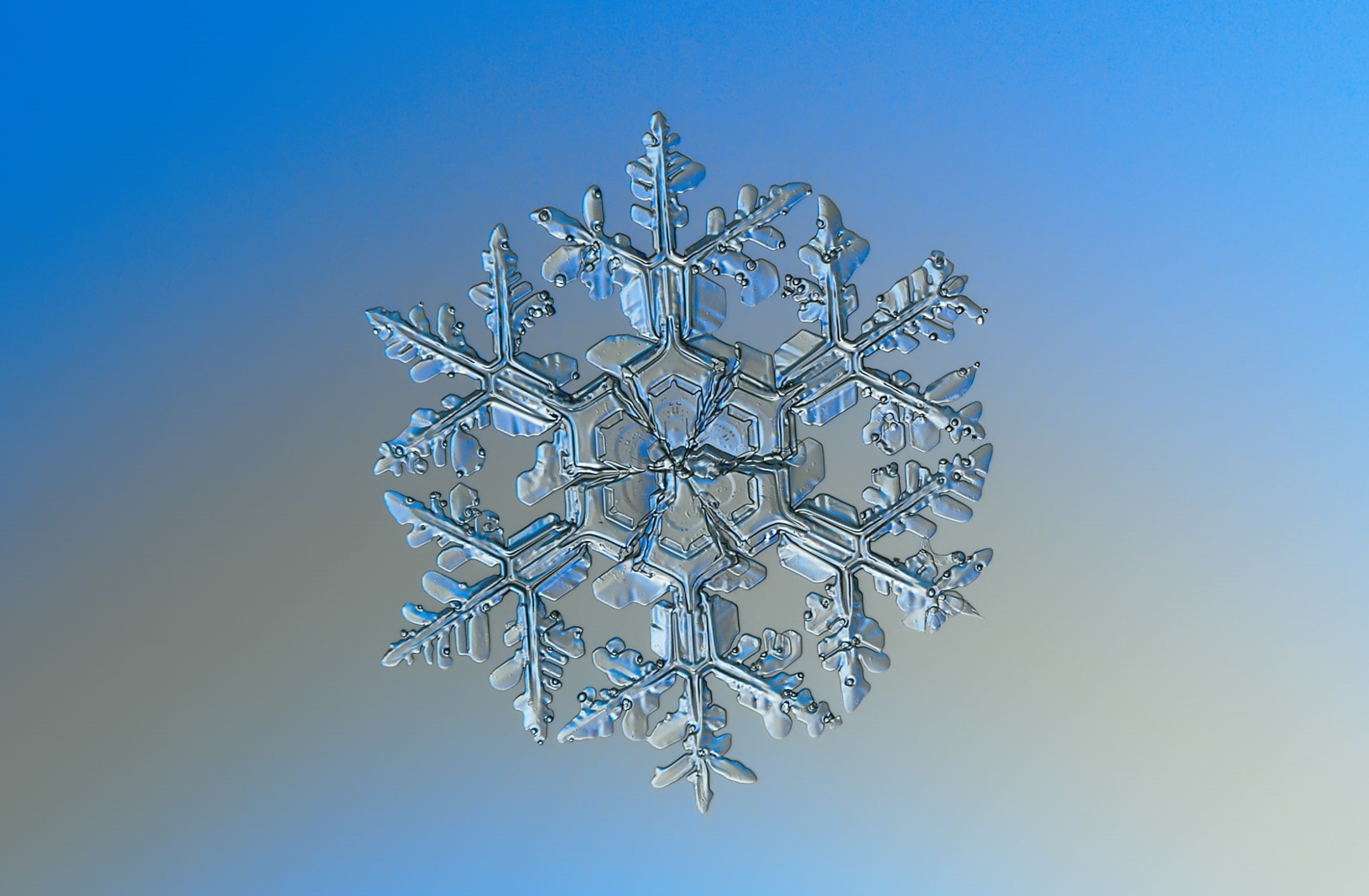 Hexagonal, ze, pattern, Details, Flake, Cold, Background, detail, Macro, Lighting, magnified, depthoffield, Natural, Weather, Clear, tree, plant, Beauty, HD Wallpaper