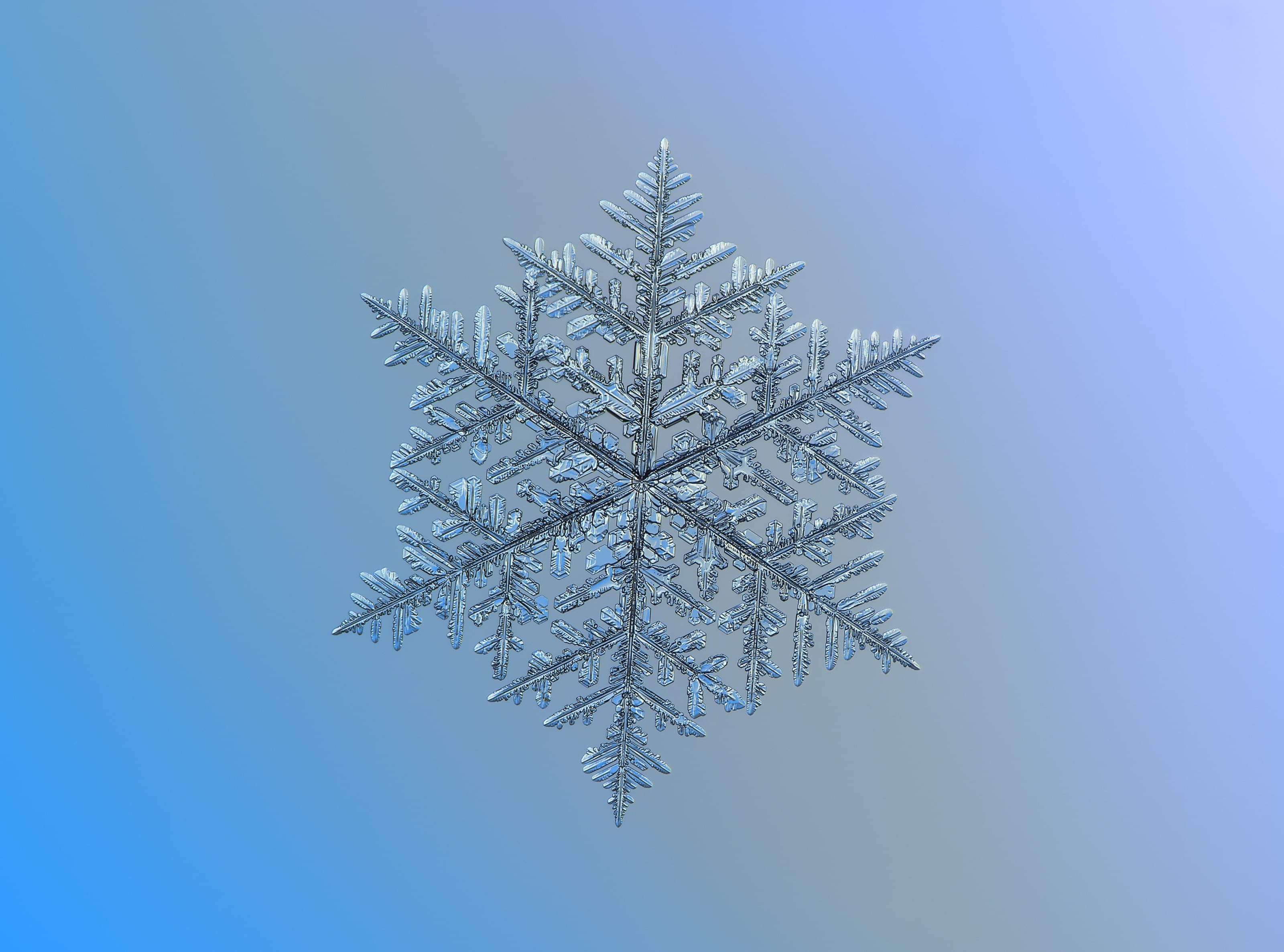 blue background, Aero, dendrite, Macro, Frost, Ornament, no people, Blue, Stars, Outdoor, day, 2K, cold temperature, Details, Light, Sign, ice, Glitter, HD Wallpaper