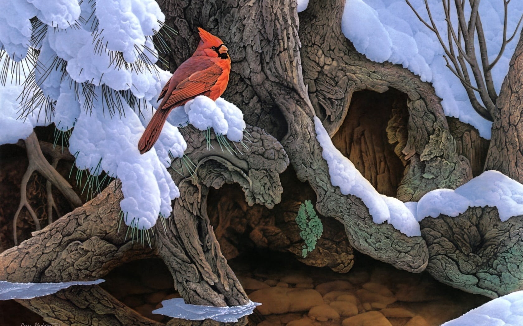animal themes, beauty In Nature, winter, blue, animal wildlife, tree trunk, no people, animals in the wild, animal, vertebrate, wildlife, trunk, HD Wallpaper