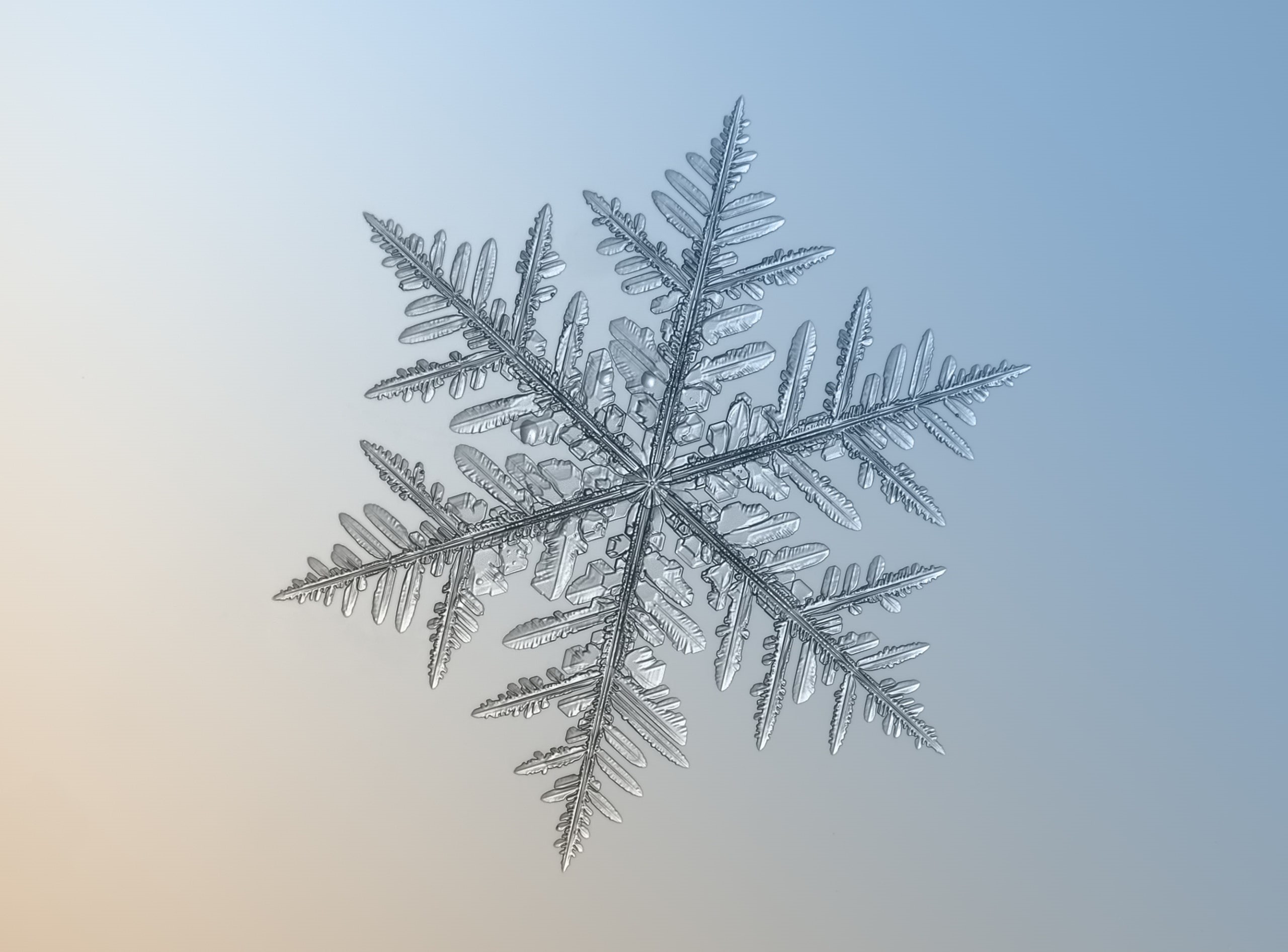 clear sky, Fractal, Nature, ice, beauty in nature, Fine, Snowflakes, Geometry, Blue, backlight, tranquility, magnify, Bright, Stars, Delicate, Crystal, HD Wallpaper