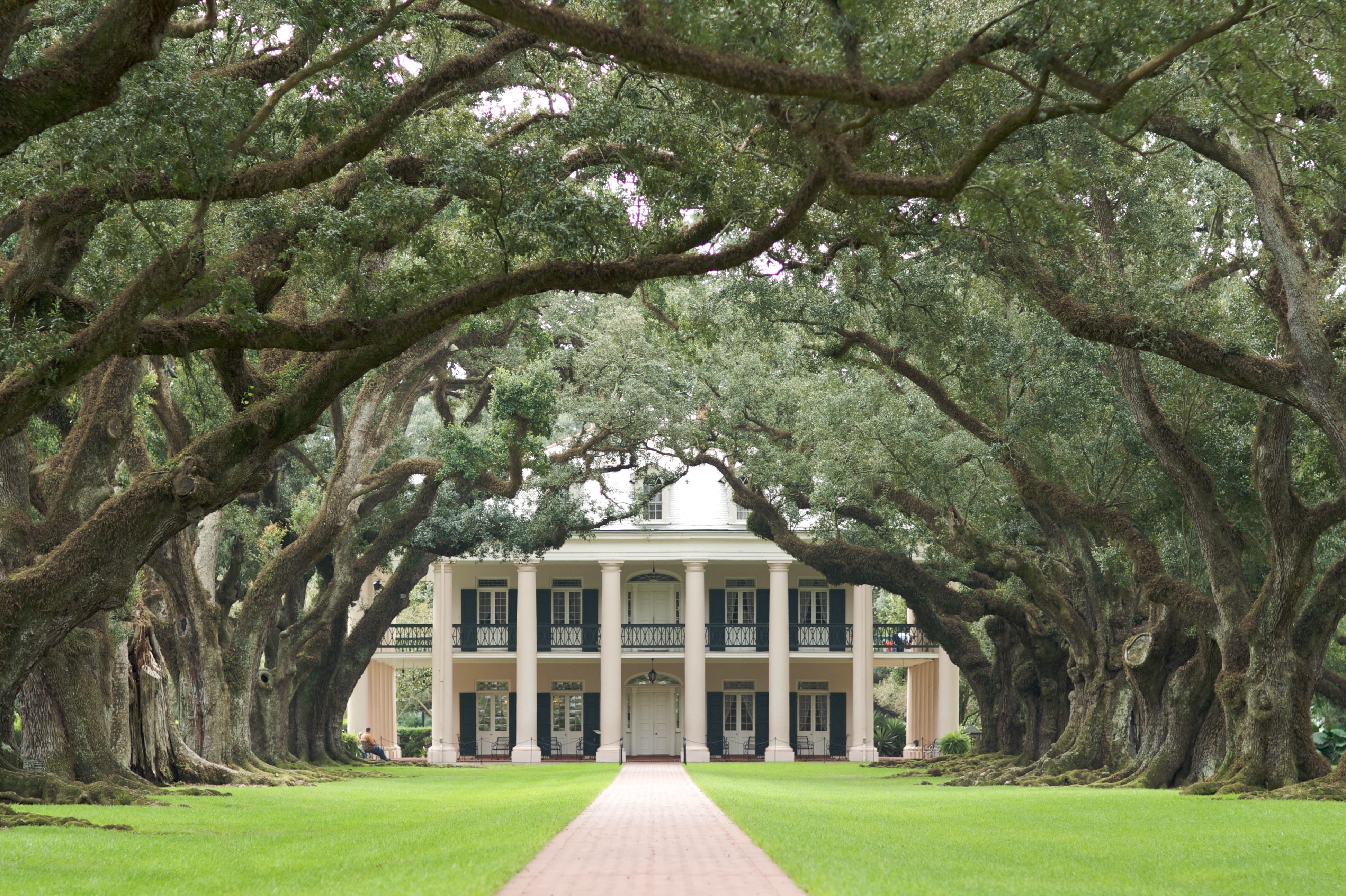 green, green color, tree, oak, 4K, branch, park, growth, oak alley plantation, lawn, conifer, trunk, plantation, trees, garden path, building, road, home, HD Wallpaper